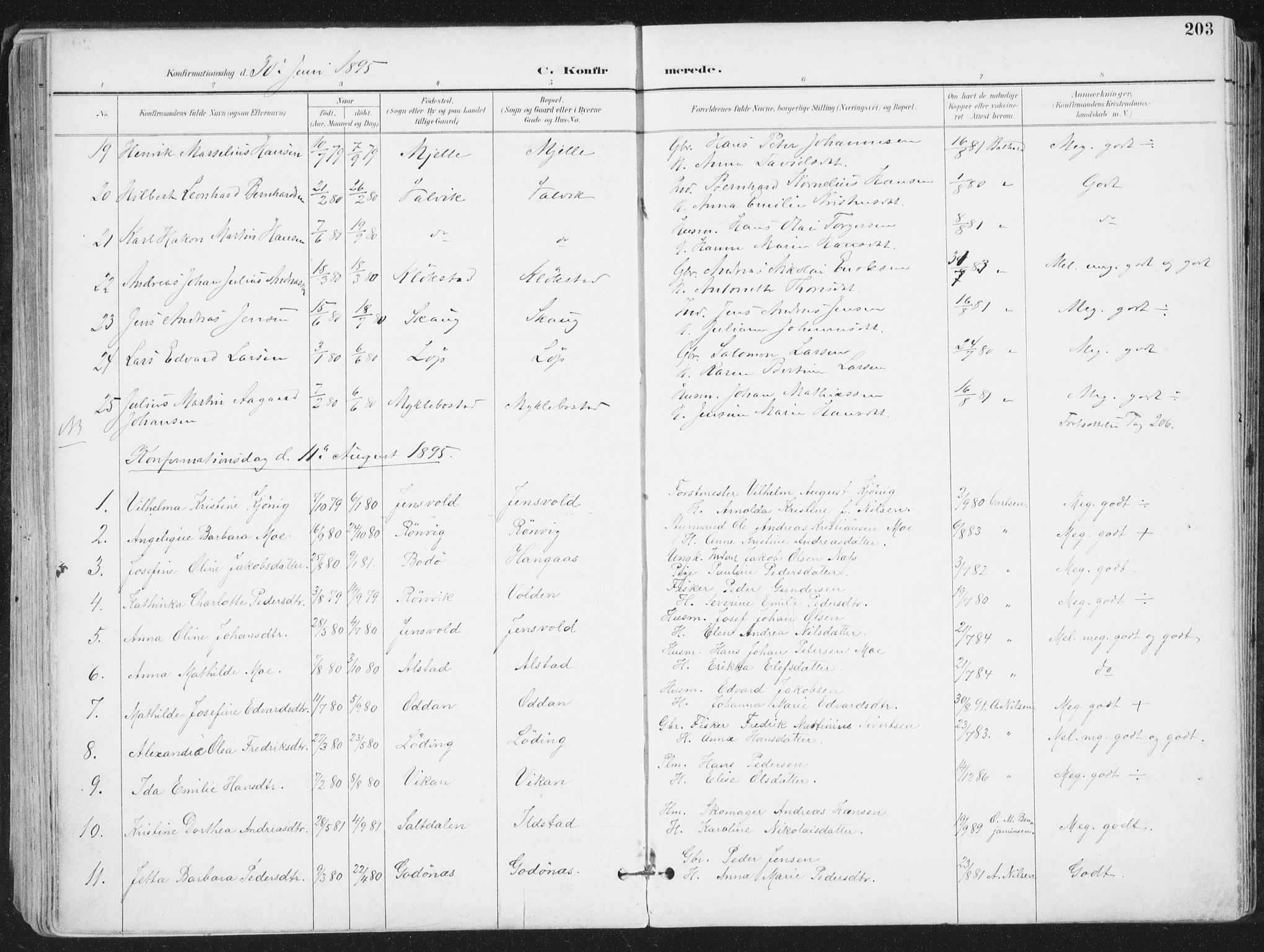 Ministerialprotokoller, klokkerbøker og fødselsregistre - Nordland, AV/SAT-A-1459/802/L0055: Parish register (official) no. 802A02, 1894-1915, p. 203