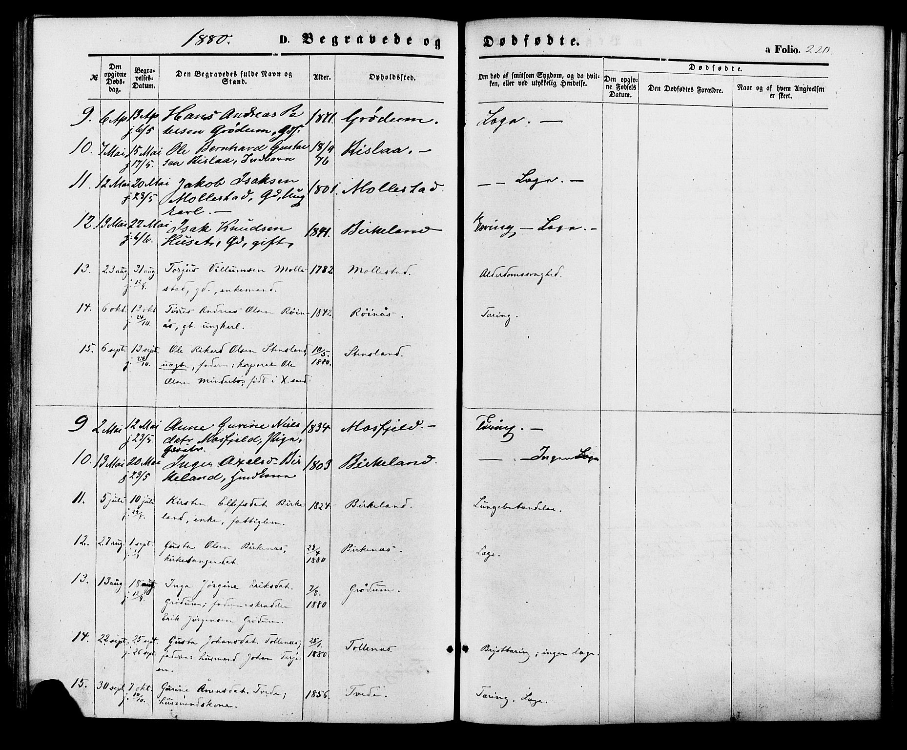 Birkenes sokneprestkontor, AV/SAK-1111-0004/F/Fa/L0004: Parish register (official) no. A 4, 1867-1886, p. 220