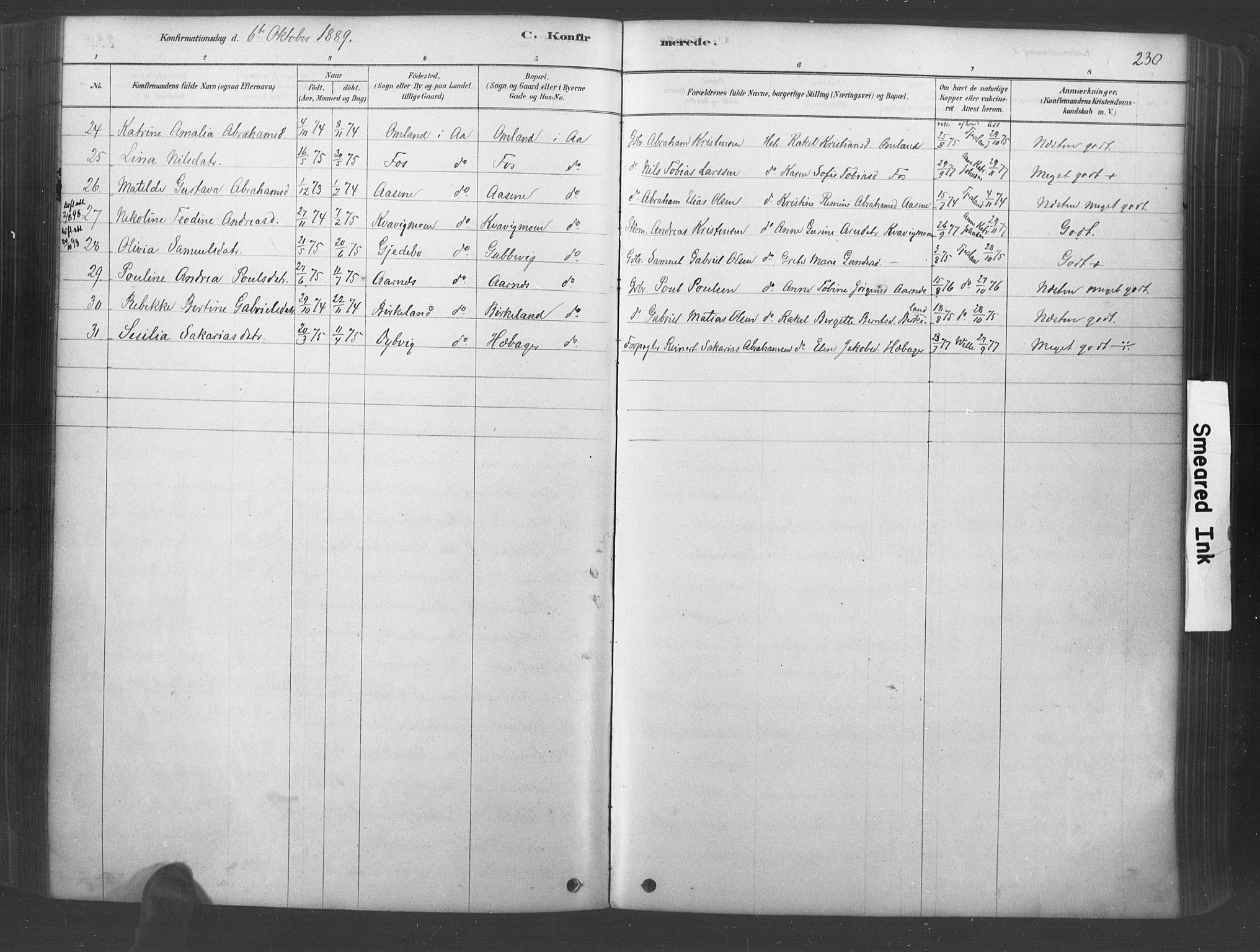 Lyngdal sokneprestkontor, AV/SAK-1111-0029/F/Fa/Fac/L0011: Parish register (official) no. A 11, 1878-1893, p. 230