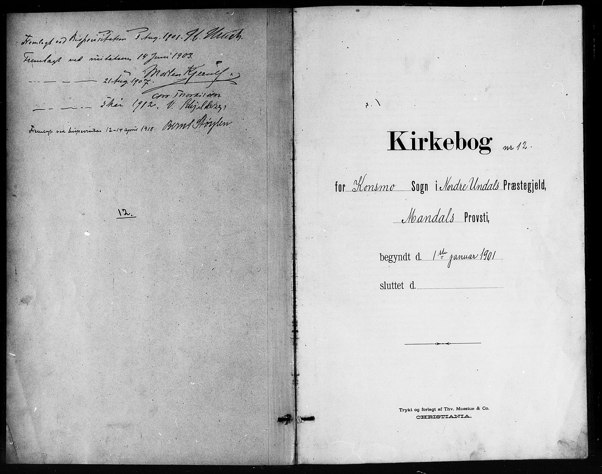 Nord-Audnedal sokneprestkontor, SAK/1111-0032/F/Fb/Fba/L0004: Parish register (copy) no. B 4, 1901-1917