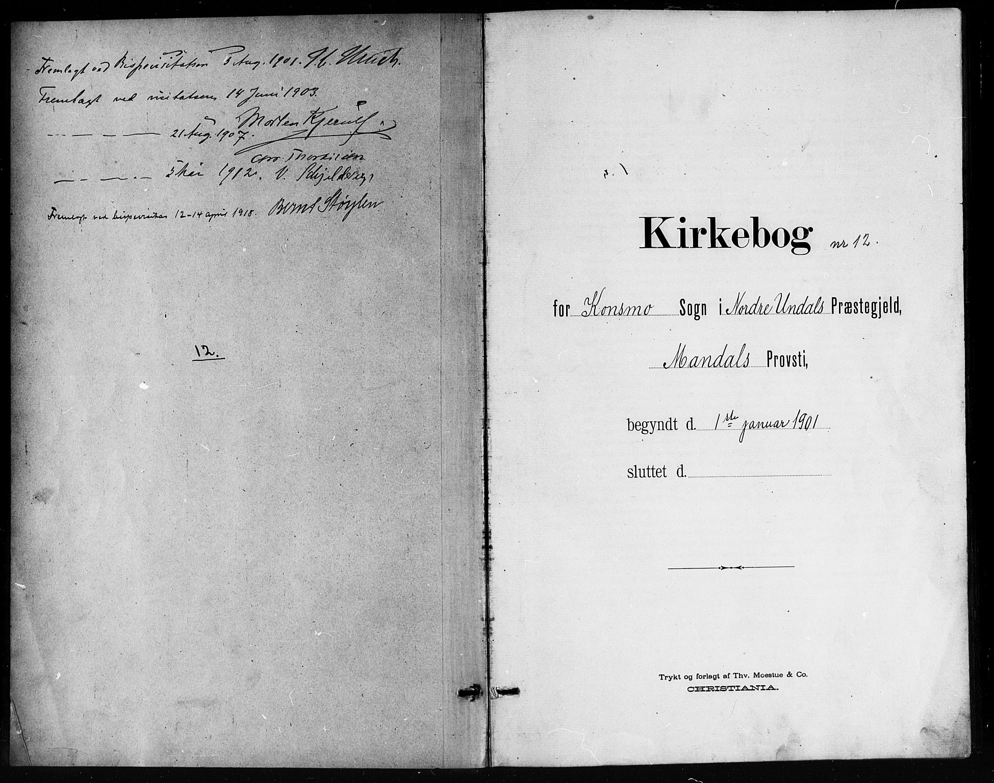 Nord-Audnedal sokneprestkontor, AV/SAK-1111-0032/F/Fb/Fba/L0004: Parish register (copy) no. B 4, 1901-1917