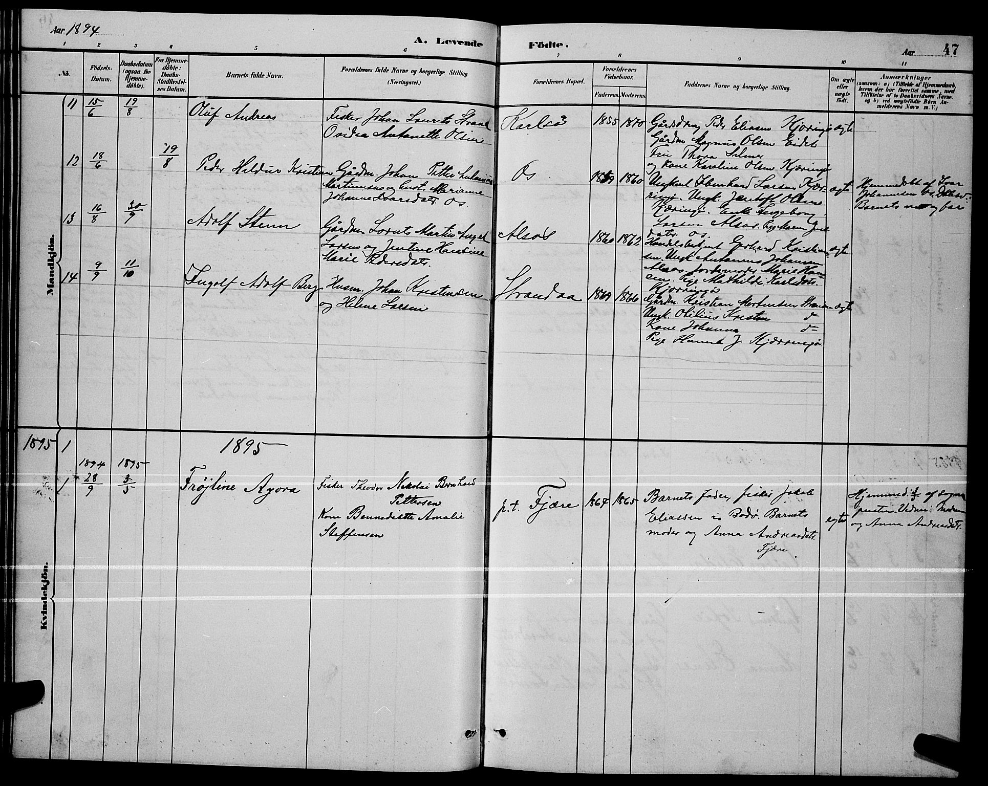 Ministerialprotokoller, klokkerbøker og fødselsregistre - Nordland, SAT/A-1459/803/L0076: Parish register (copy) no. 803C03, 1882-1897, p. 47