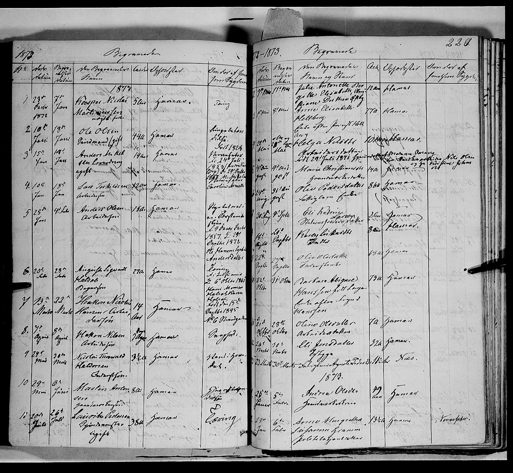 Vang prestekontor, Hedmark, SAH/PREST-008/H/Ha/Haa/L0011: Parish register (official) no. 11, 1852-1877, p. 229