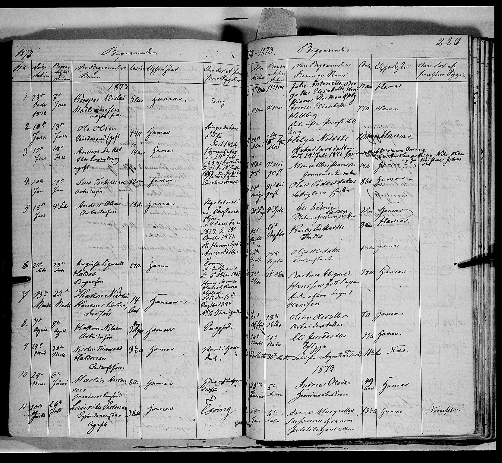 Vang prestekontor, Hedmark, AV/SAH-PREST-008/H/Ha/Haa/L0011: Parish register (official) no. 11, 1852-1877, p. 229