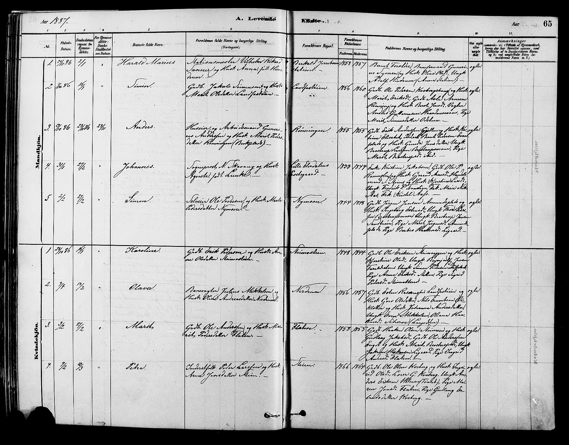 Alvdal prestekontor, AV/SAH-PREST-060/H/Ha/Hab/L0003: Parish register (copy) no. 3, 1878-1907, p. 65