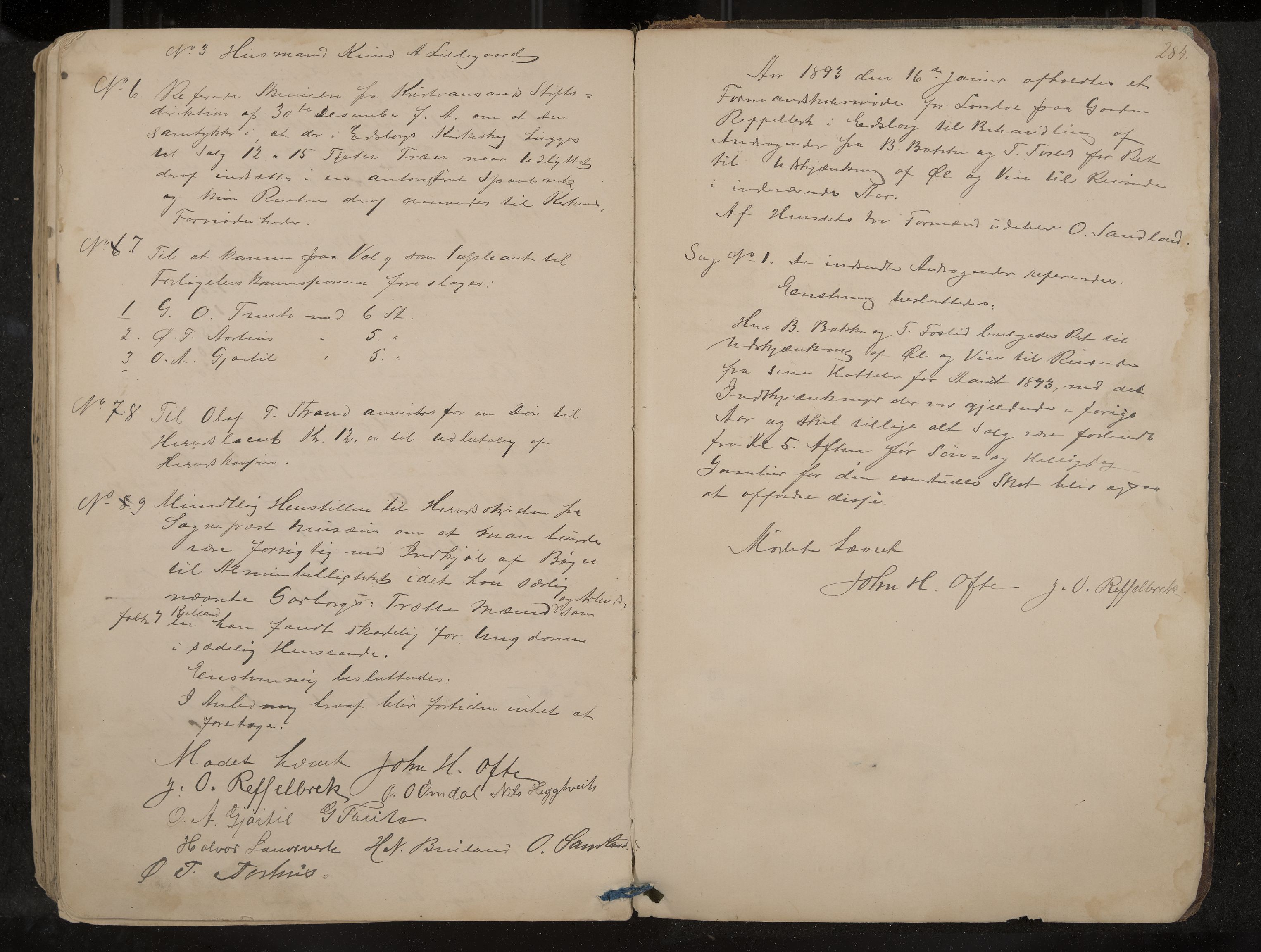 Lårdal formannskap og sentraladministrasjon, IKAK/0833021/A/L0002: Møtebok, 1865-1893, p. 284