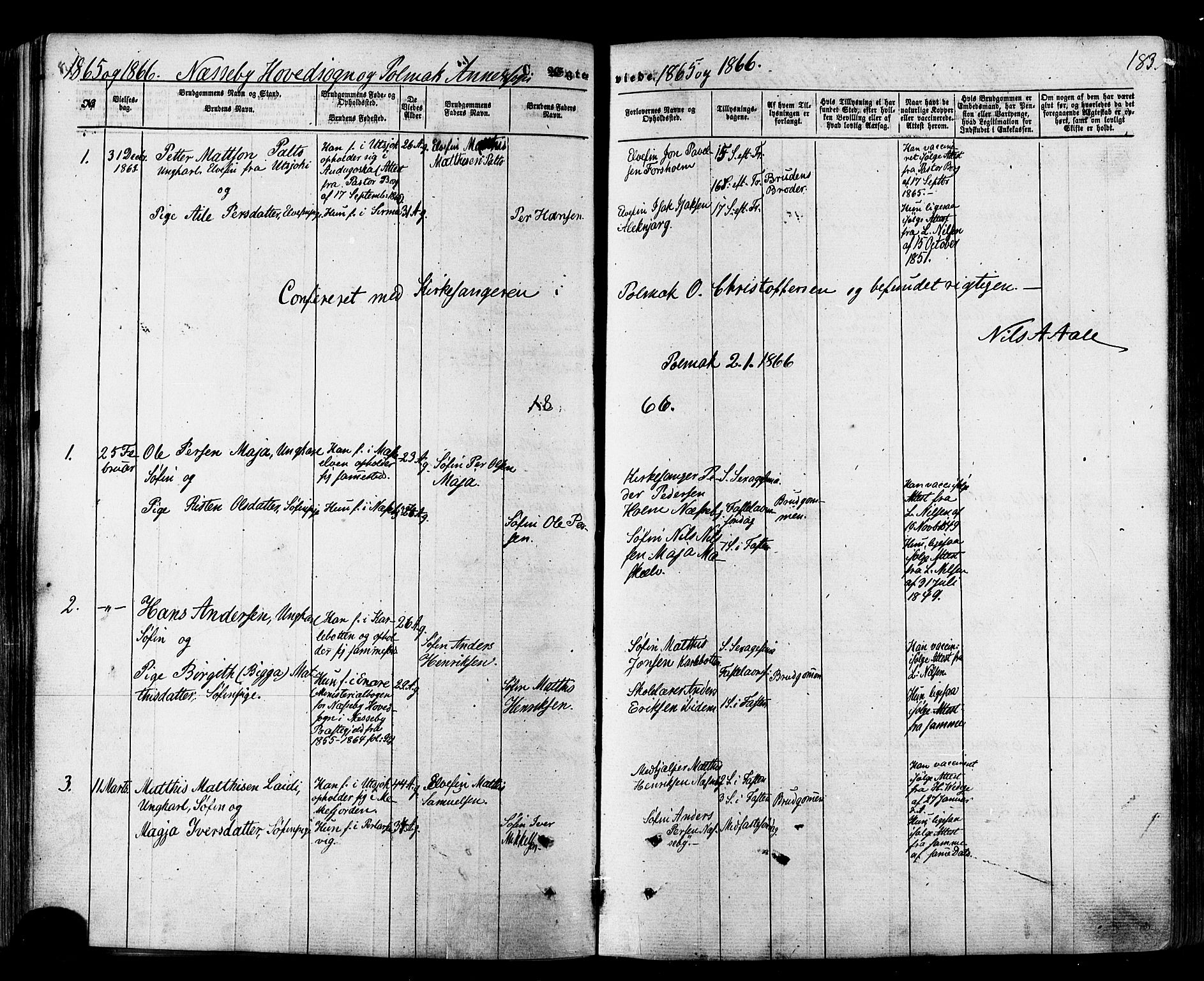 Nesseby sokneprestkontor, AV/SATØ-S-1330/H/Ha/L0003kirke: Parish register (official) no. 3 /1, 1865-1876, p. 183