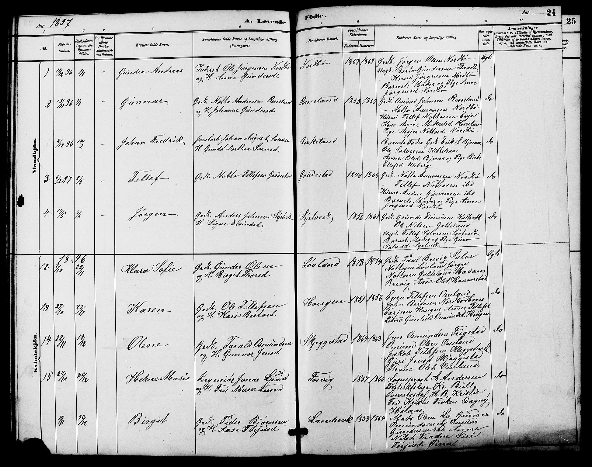 Evje sokneprestkontor, AV/SAK-1111-0008/F/Fb/Fba/L0003: Parish register (copy) no. B 3, 1888-1903, p. 24