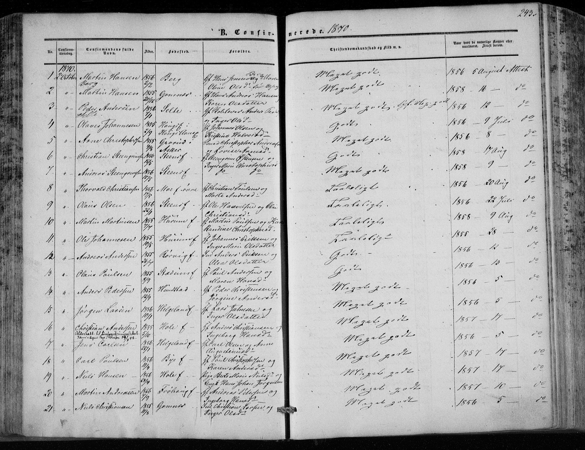 Hole kirkebøker, SAKO/A-228/F/Fa/L0006: Parish register (official) no. I 6, 1852-1872, p. 243