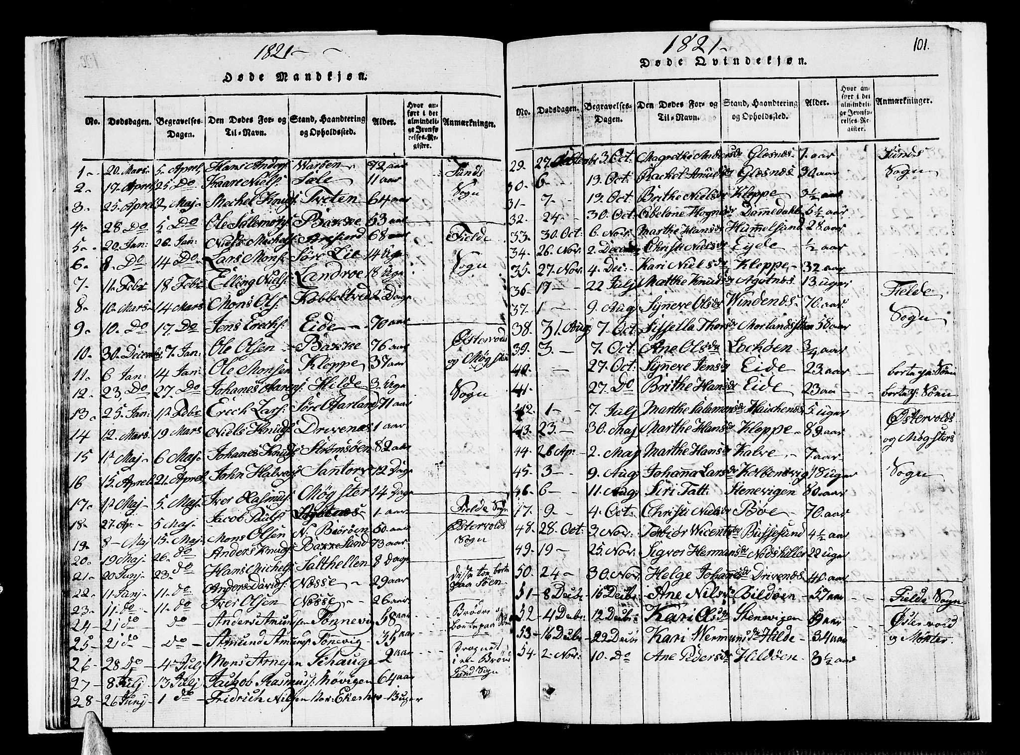 Sund sokneprestembete, AV/SAB-A-99930: Parish register (copy) no. A 1, 1816-1827, p. 101