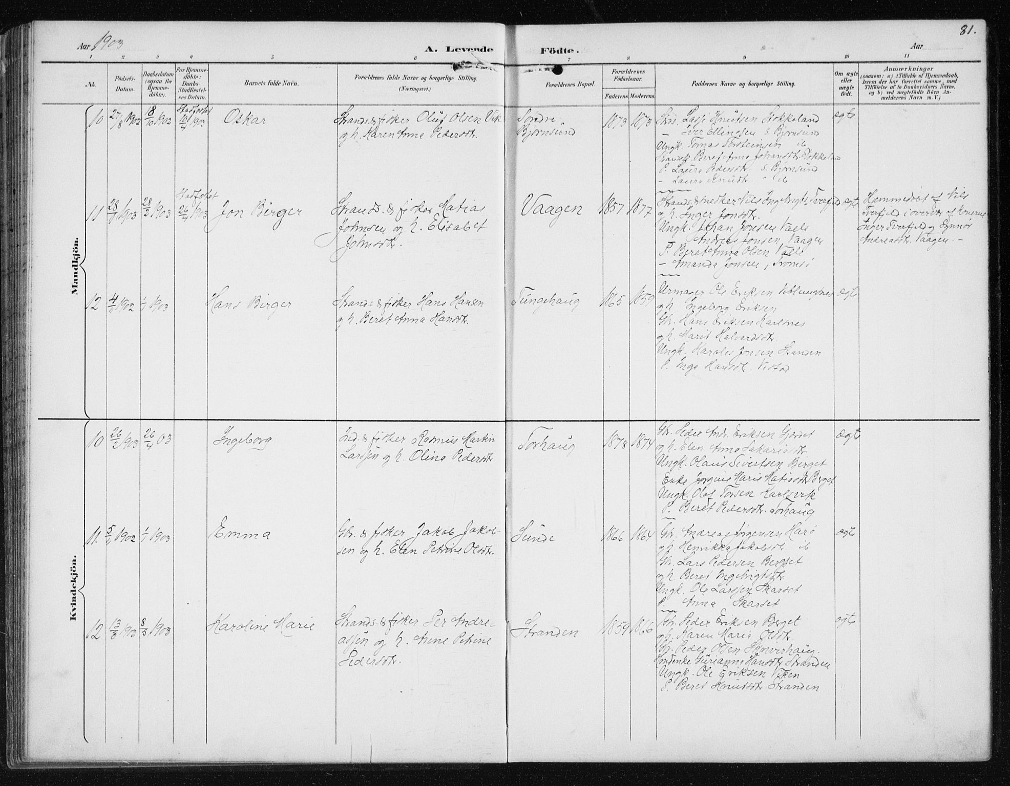 Ministerialprotokoller, klokkerbøker og fødselsregistre - Møre og Romsdal, AV/SAT-A-1454/566/L0773: Parish register (copy) no. 566C02, 1892-1909, p. 81