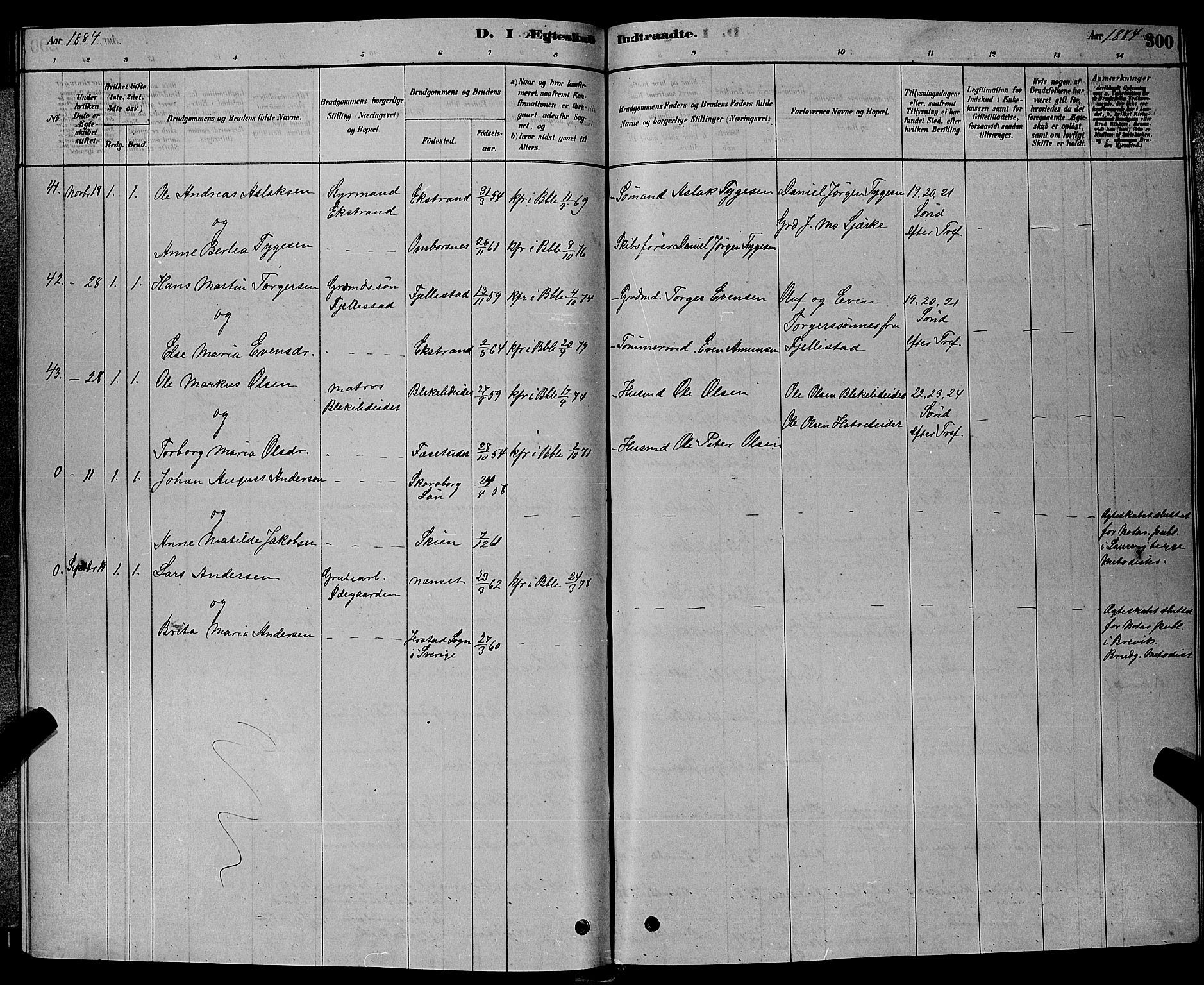 Bamble kirkebøker, SAKO/A-253/G/Ga/L0008: Parish register (copy) no. I 8, 1878-1888, p. 300