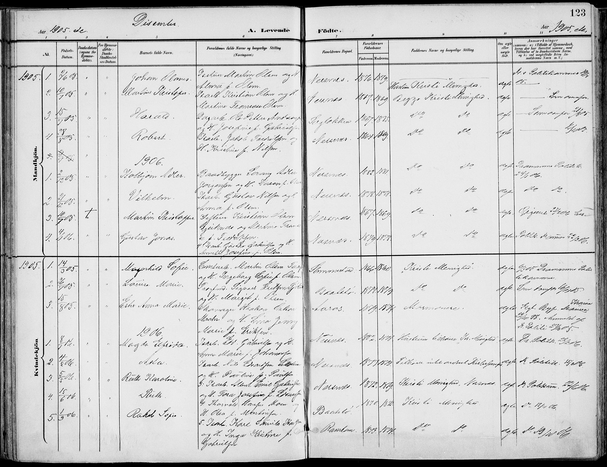 Røyken kirkebøker, AV/SAKO-A-241/F/Fa/L0009: Parish register (official) no. 9, 1898-1911, p. 123