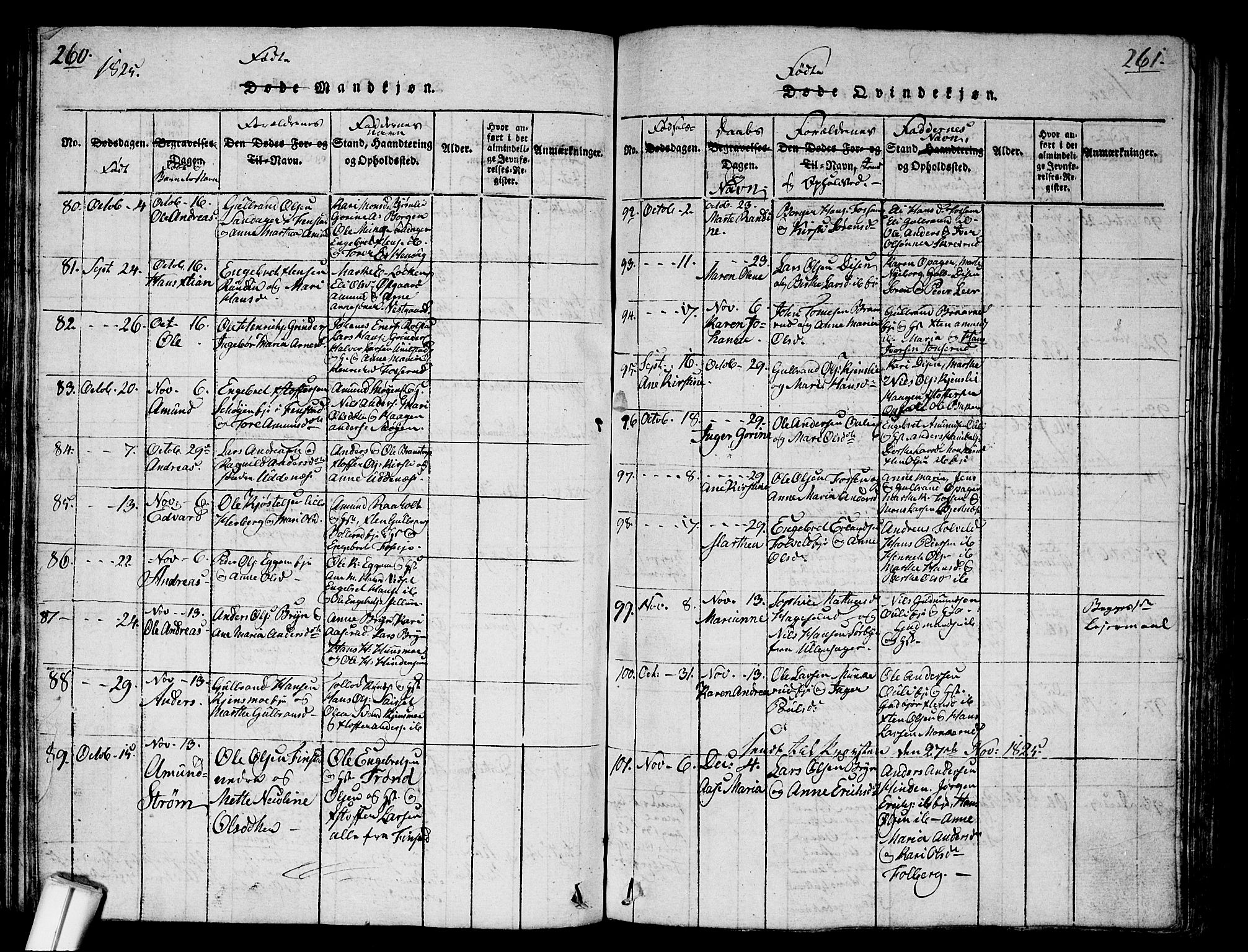 Nes prestekontor Kirkebøker, AV/SAO-A-10410/G/Ga/L0001: Parish register (copy) no. I 1, 1815-1835, p. 260-261