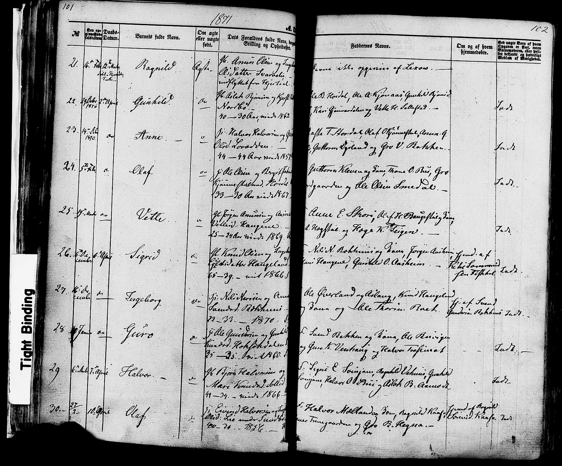 Seljord kirkebøker, AV/SAKO-A-20/F/Fa/L0013: Parish register (official) no. I 13, 1866-1876, p. 101-102