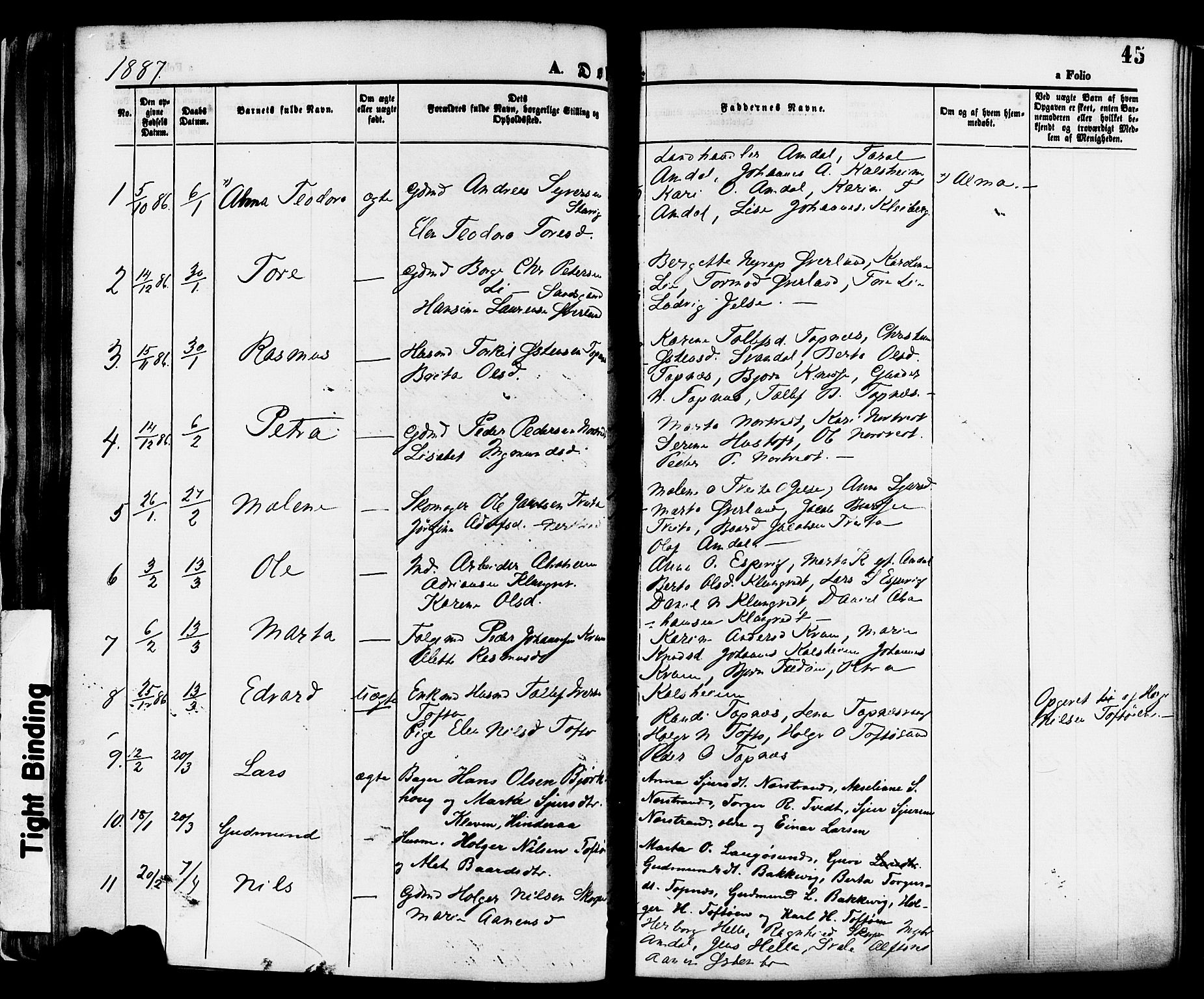 Nedstrand sokneprestkontor, SAST/A-101841/01/IV: Parish register (official) no. A 11, 1877-1887, p. 45