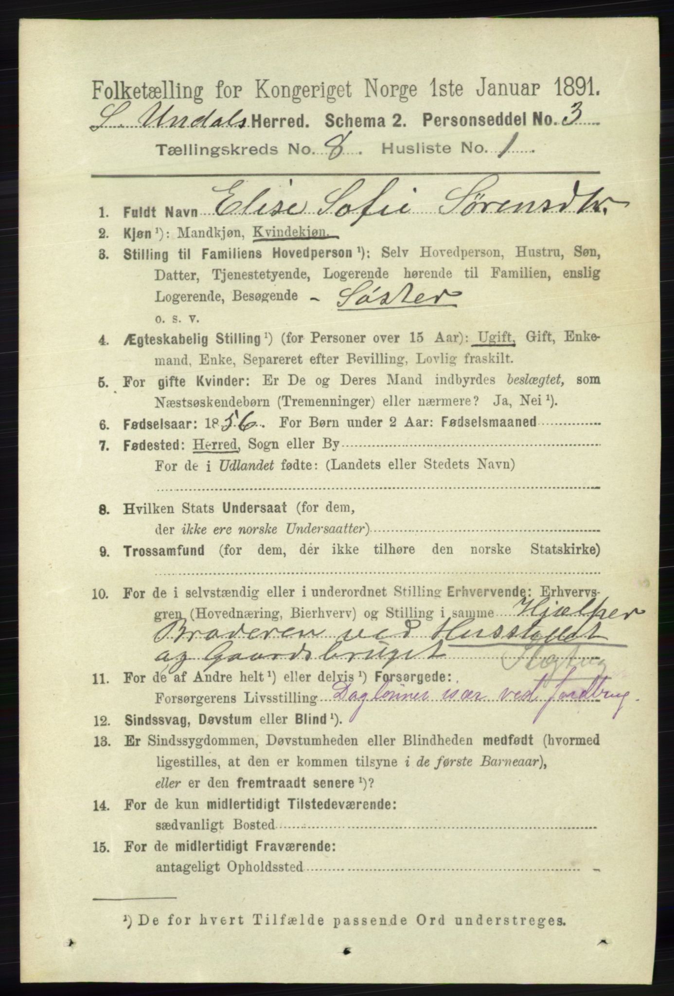 RA, 1891 census for 1029 Sør-Audnedal, 1891, p. 3114