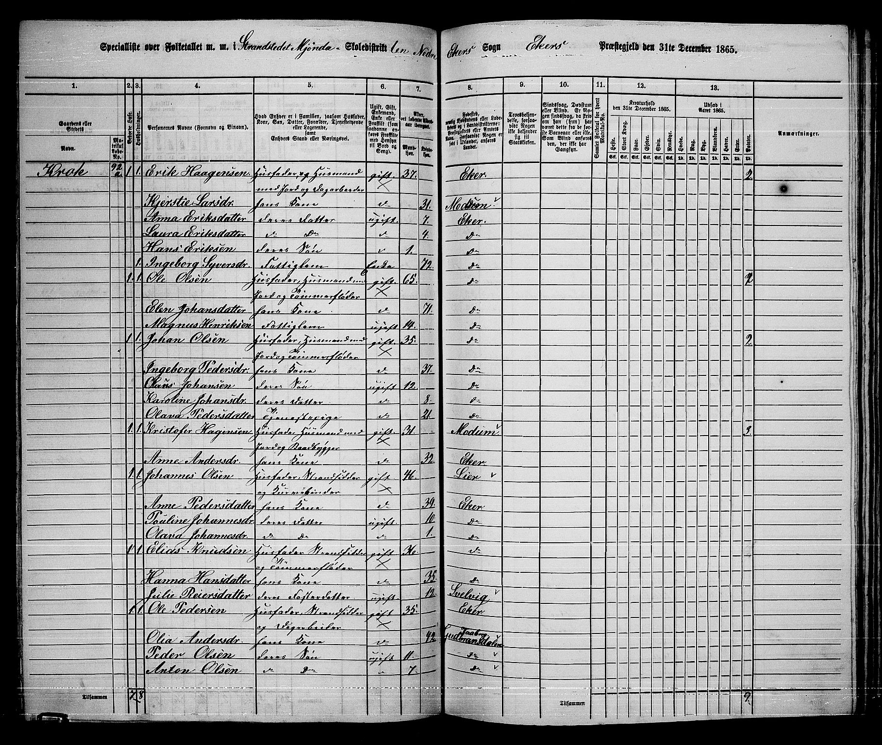 RA, 1865 census for Eiker, 1865, p. 410