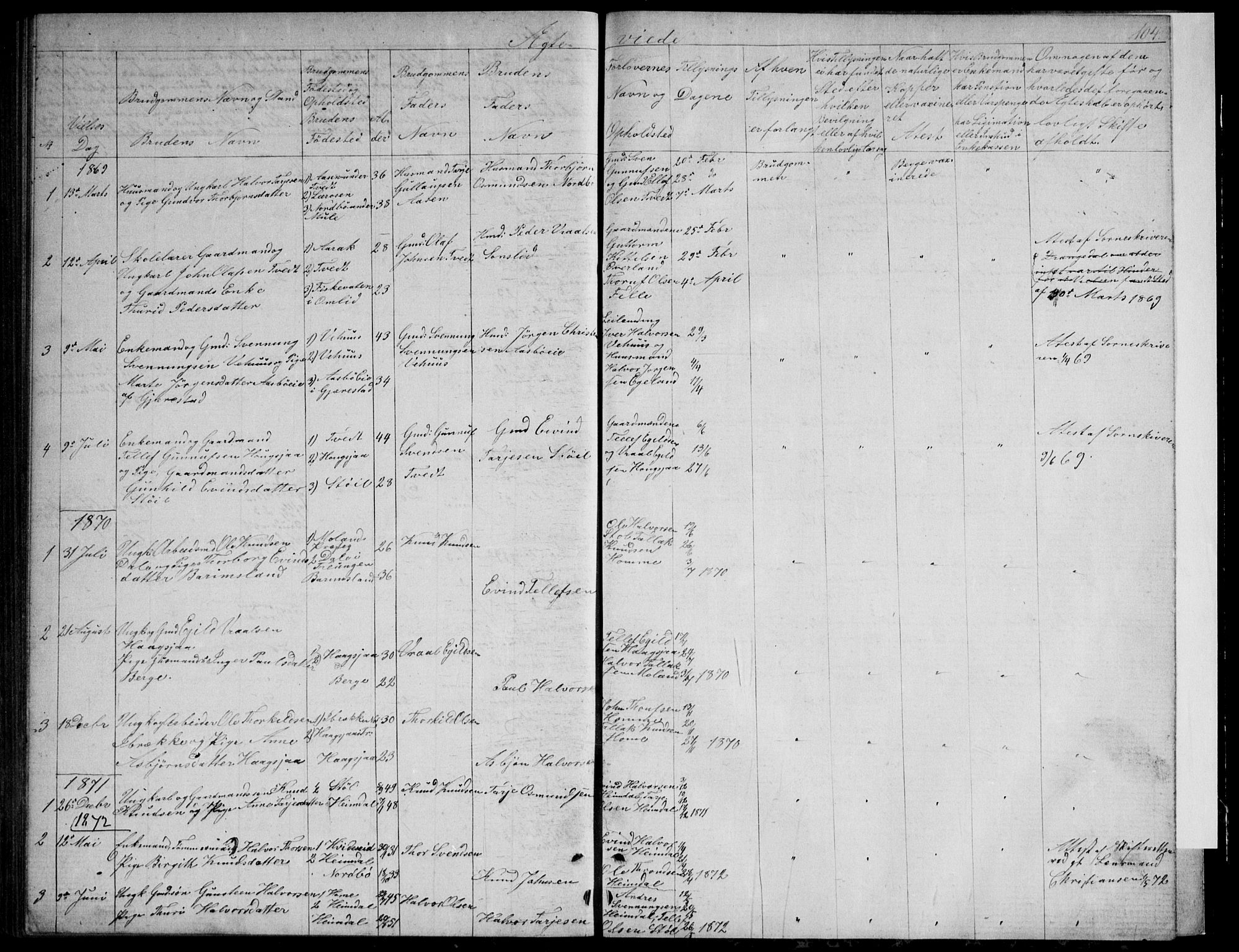 Nissedal kirkebøker, SAKO/A-288/G/Gb/L0002: Parish register (copy) no. II 2, 1863-1892, p. 104