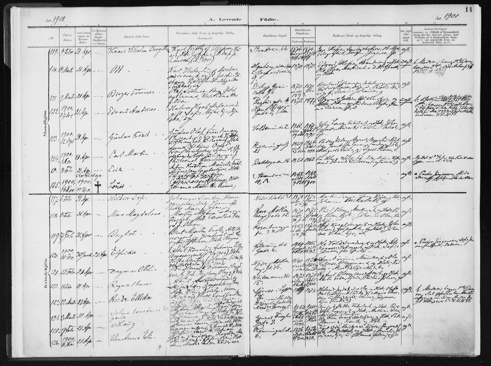 Ministerialprotokoller, klokkerbøker og fødselsregistre - Sør-Trøndelag, SAT/A-1456/604/L0199: Parish register (official) no. 604A20I, 1901-1906, p. 14