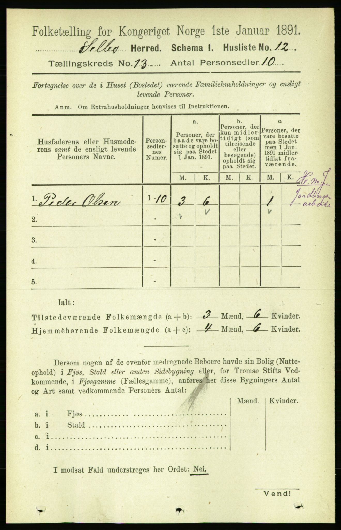 RA, 1891 census for 1664 Selbu, 1891, p. 4548