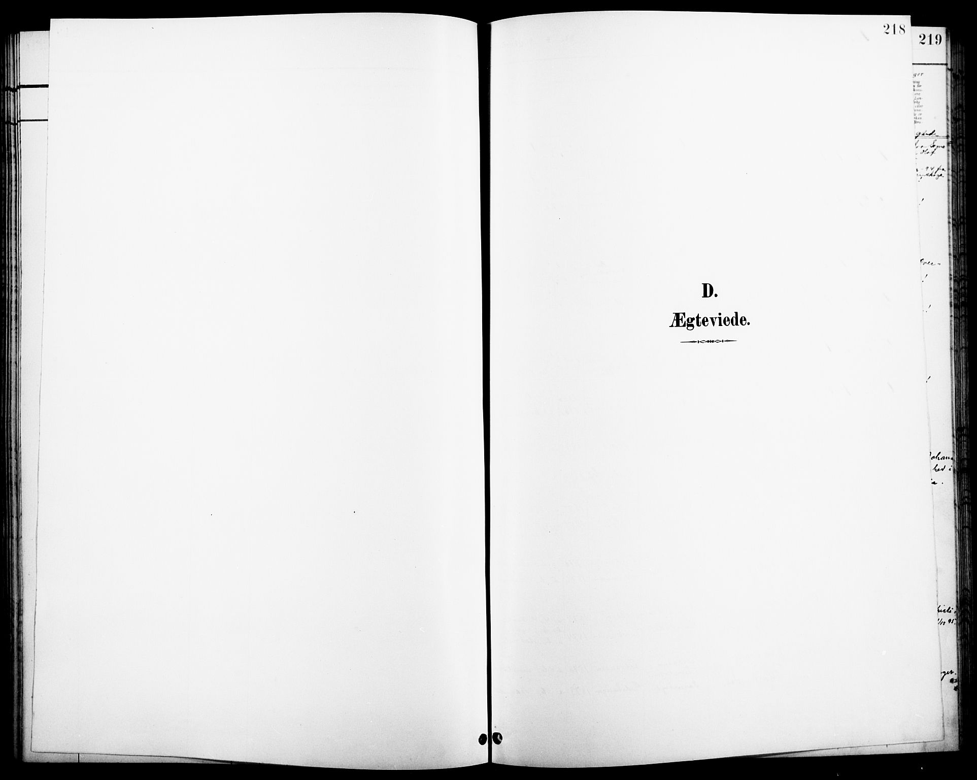 Åsnes prestekontor, AV/SAH-PREST-042/H/Ha/Hab/L0004: Parish register (copy) no. 4, 1895-1909, p. 218