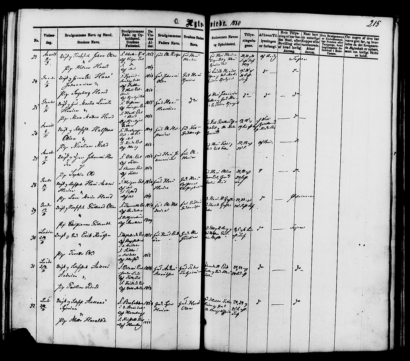 Nordre Land prestekontor, SAH/PREST-124/H/Ha/Haa/L0002: Parish register (official) no. 2, 1872-1881, p. 215