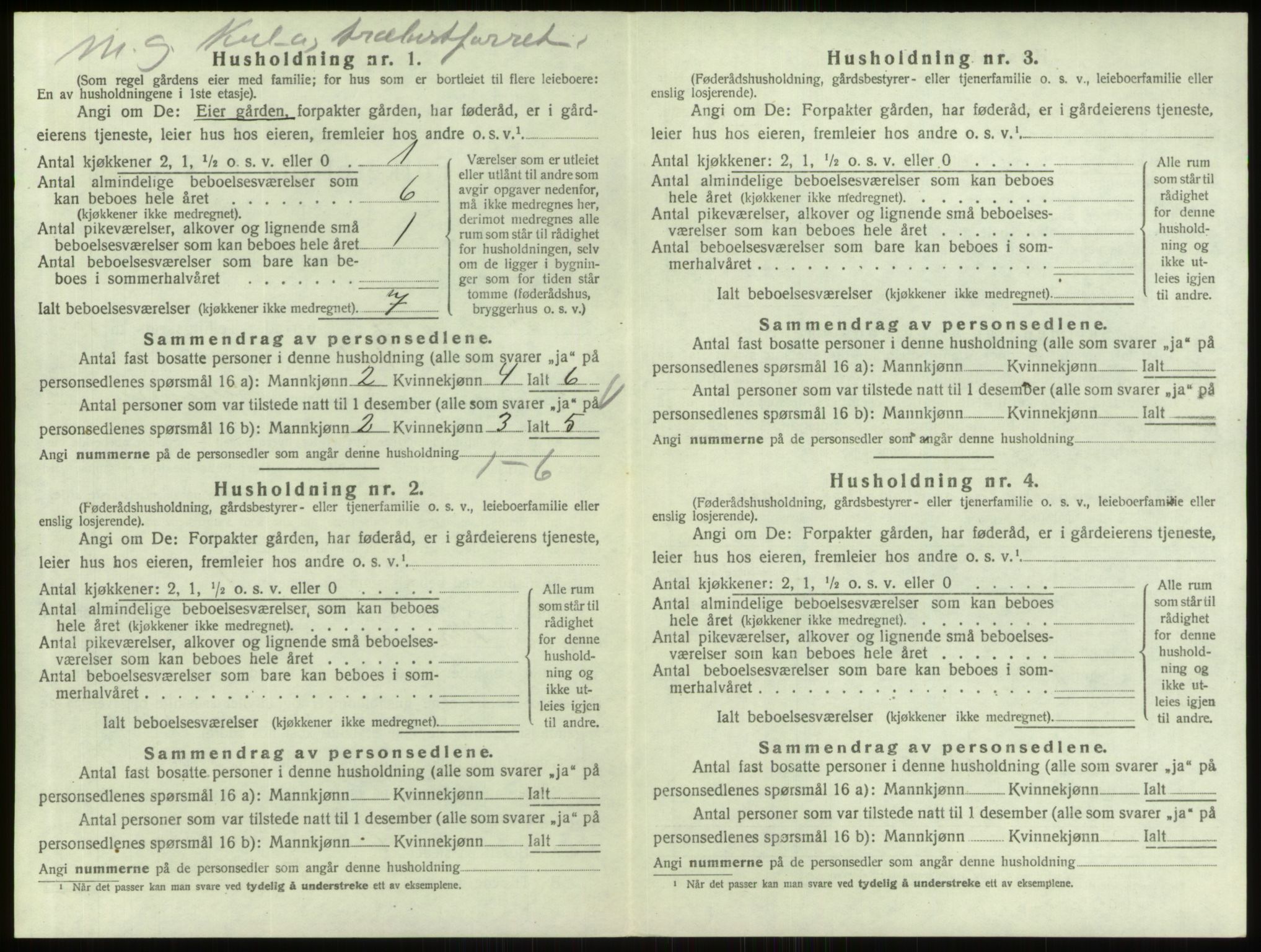 SAO, 1920 census for Berg, 1920, p. 865