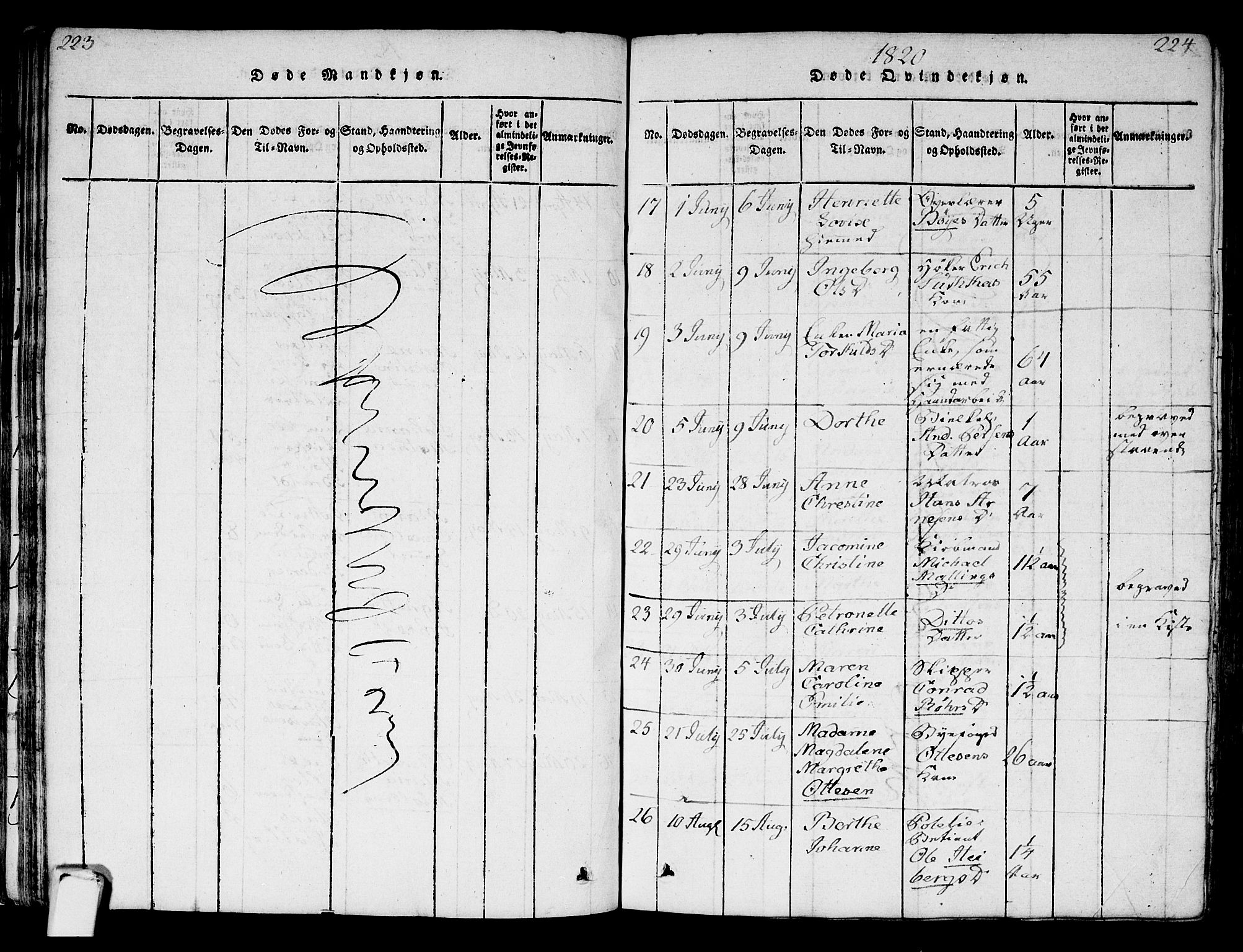 Strømsø kirkebøker, AV/SAKO-A-246/F/Fa/L0011: Parish register (official) no. I 11, 1815-1829, p. 223-224