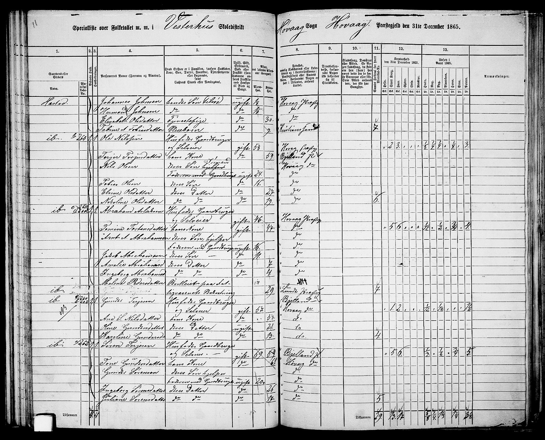 RA, 1865 census for Høvåg, 1865, p. 70