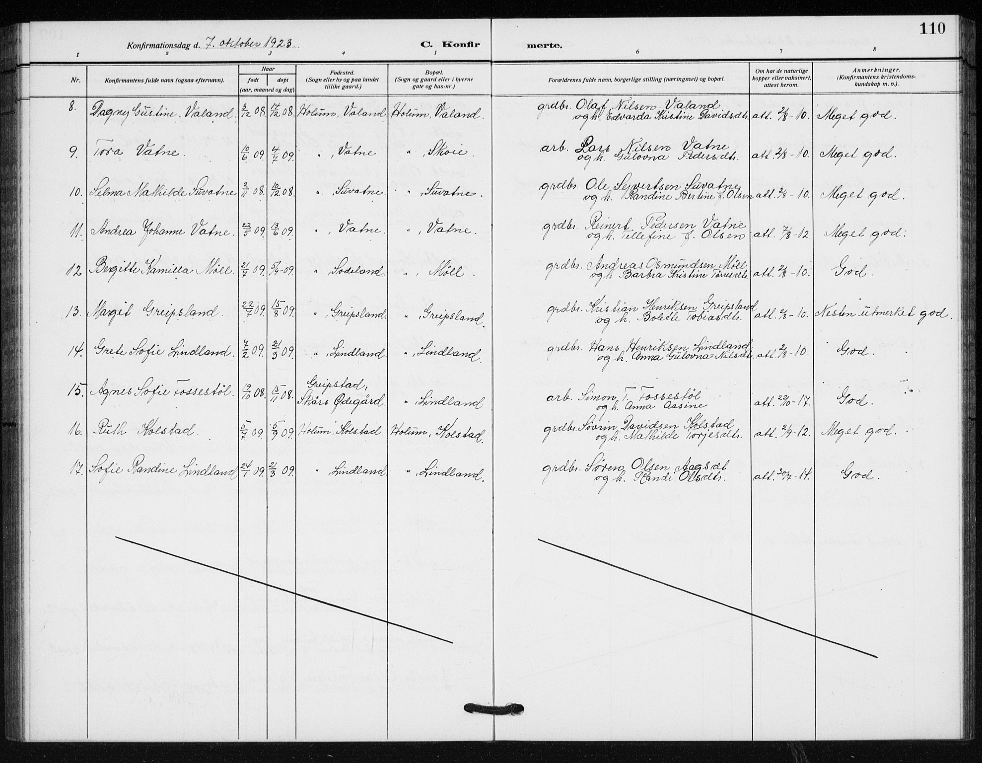 Holum sokneprestkontor, SAK/1111-0022/F/Fb/Fba/L0006: Parish register (copy) no. B 6, 1910-1936, p. 110