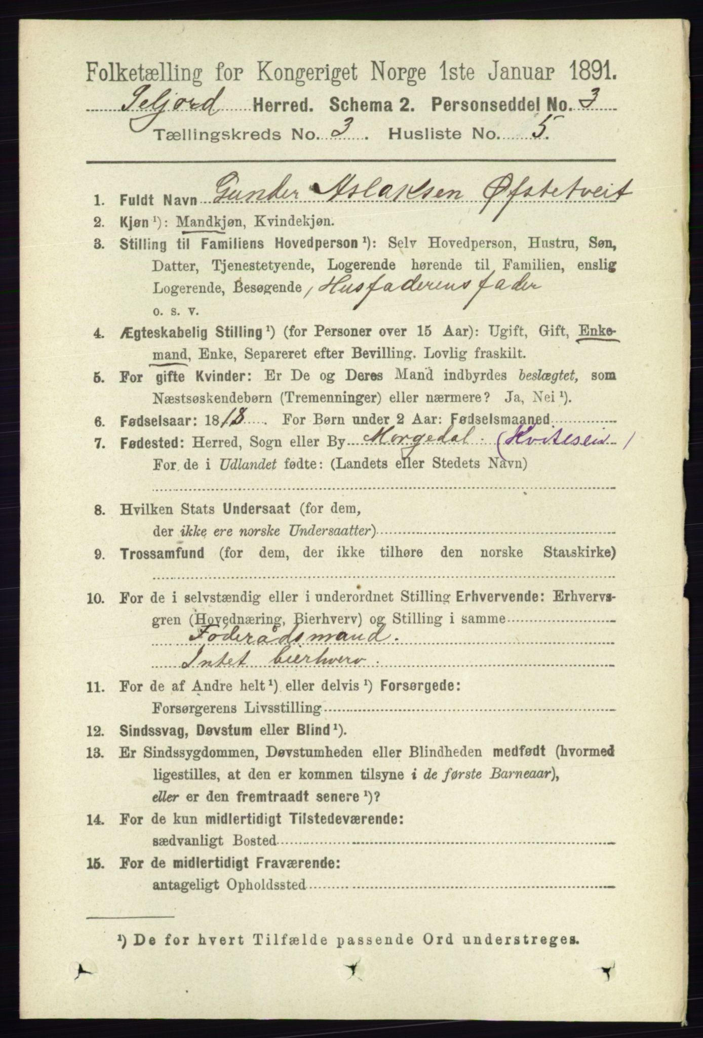 RA, 1891 census for 0828 Seljord, 1891, p. 1000