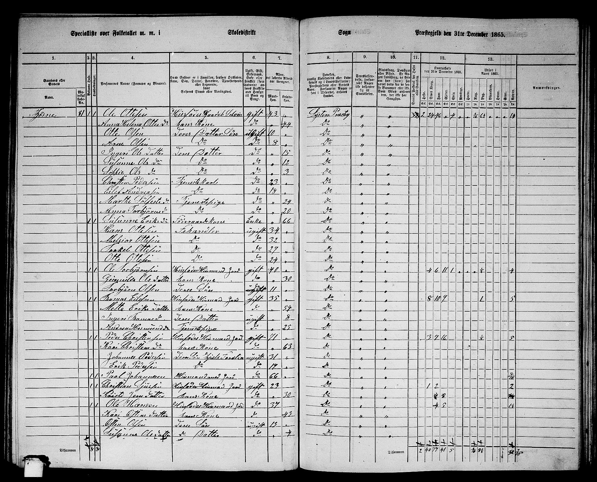 RA, 1865 census for Luster, 1865, p. 109