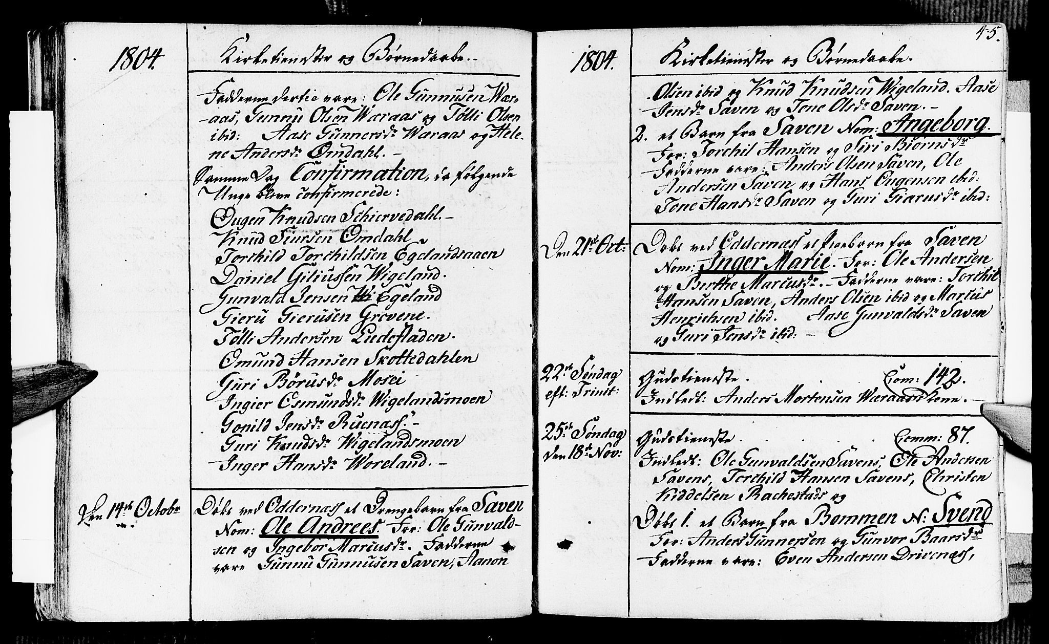 Vennesla sokneprestkontor, SAK/1111-0045/Fa/Fab/L0002: Parish register (official) no. A 2, 1794-1834, p. 45
