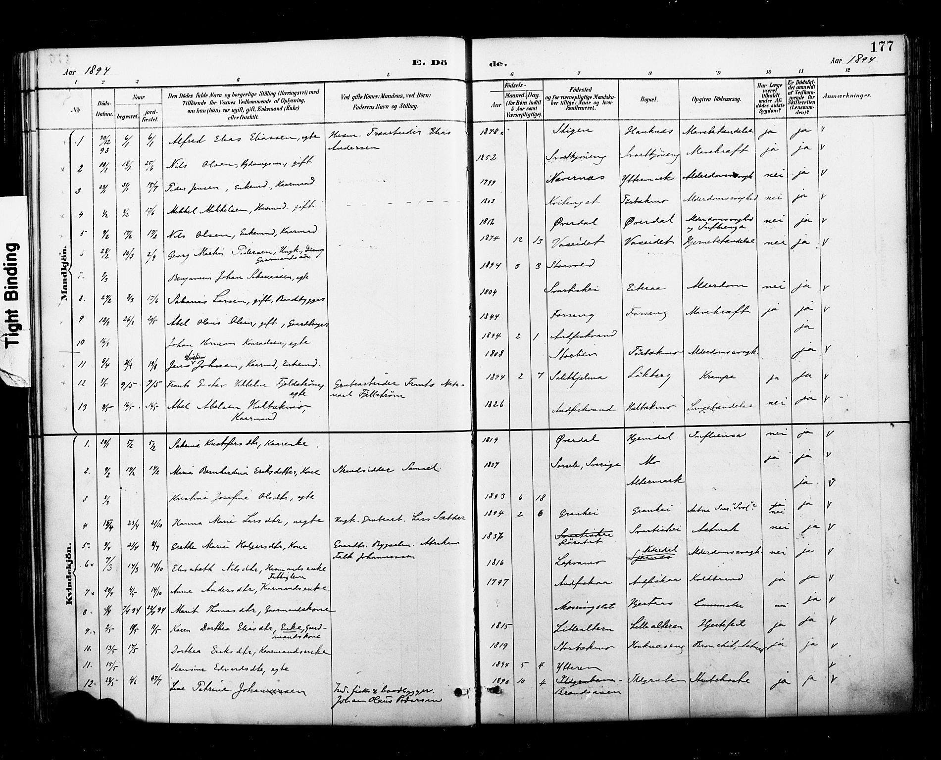 Ministerialprotokoller, klokkerbøker og fødselsregistre - Nordland, AV/SAT-A-1459/827/L0401: Parish register (official) no. 827A13, 1887-1905, p. 177