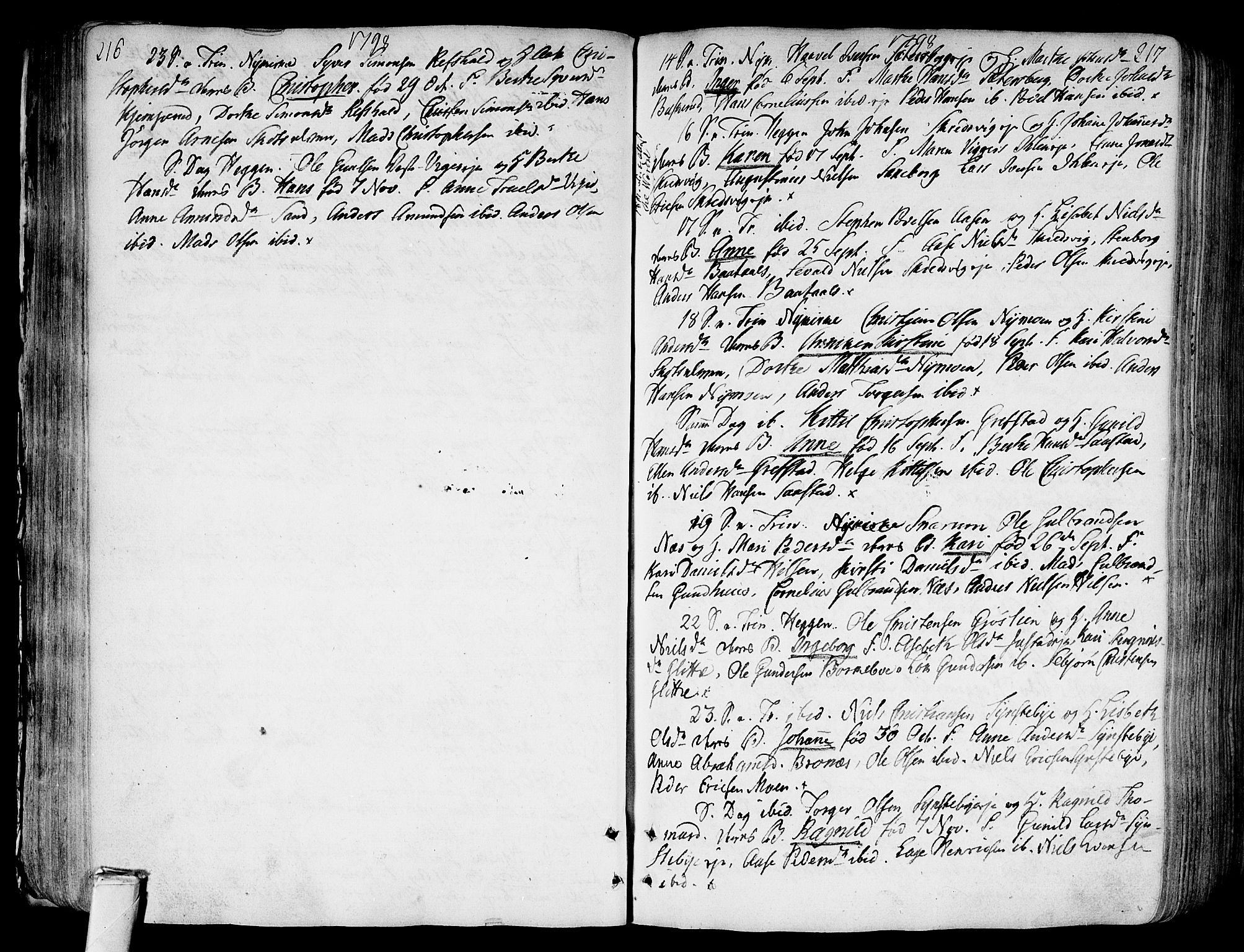 Modum kirkebøker, AV/SAKO-A-234/F/Fa/L0003: Parish register (official) no. 3, 1783-1819, p. 216-217