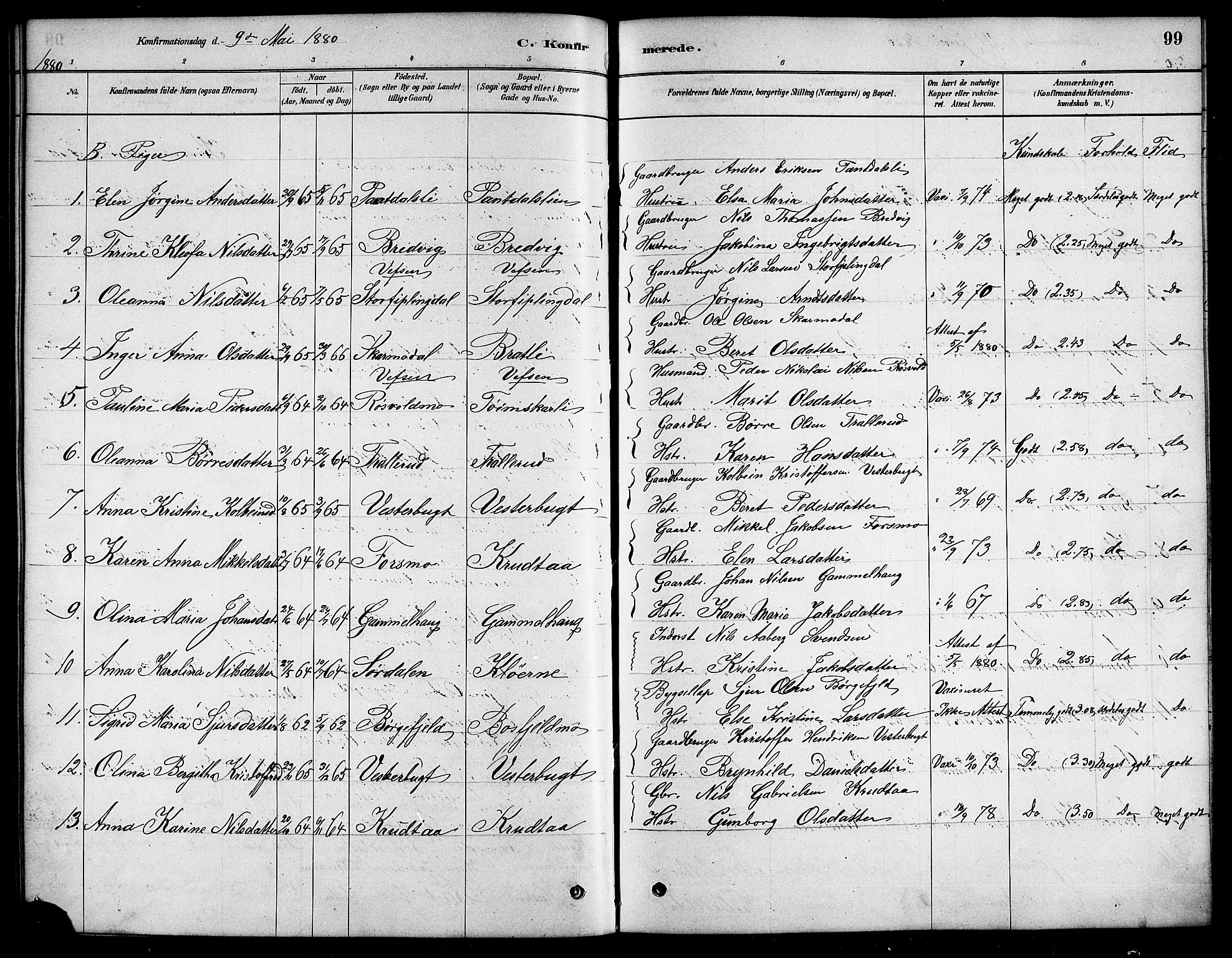 Ministerialprotokoller, klokkerbøker og fødselsregistre - Nordland, SAT/A-1459/823/L0330: Parish register (copy) no. 823C02, 1879-1916, p. 99