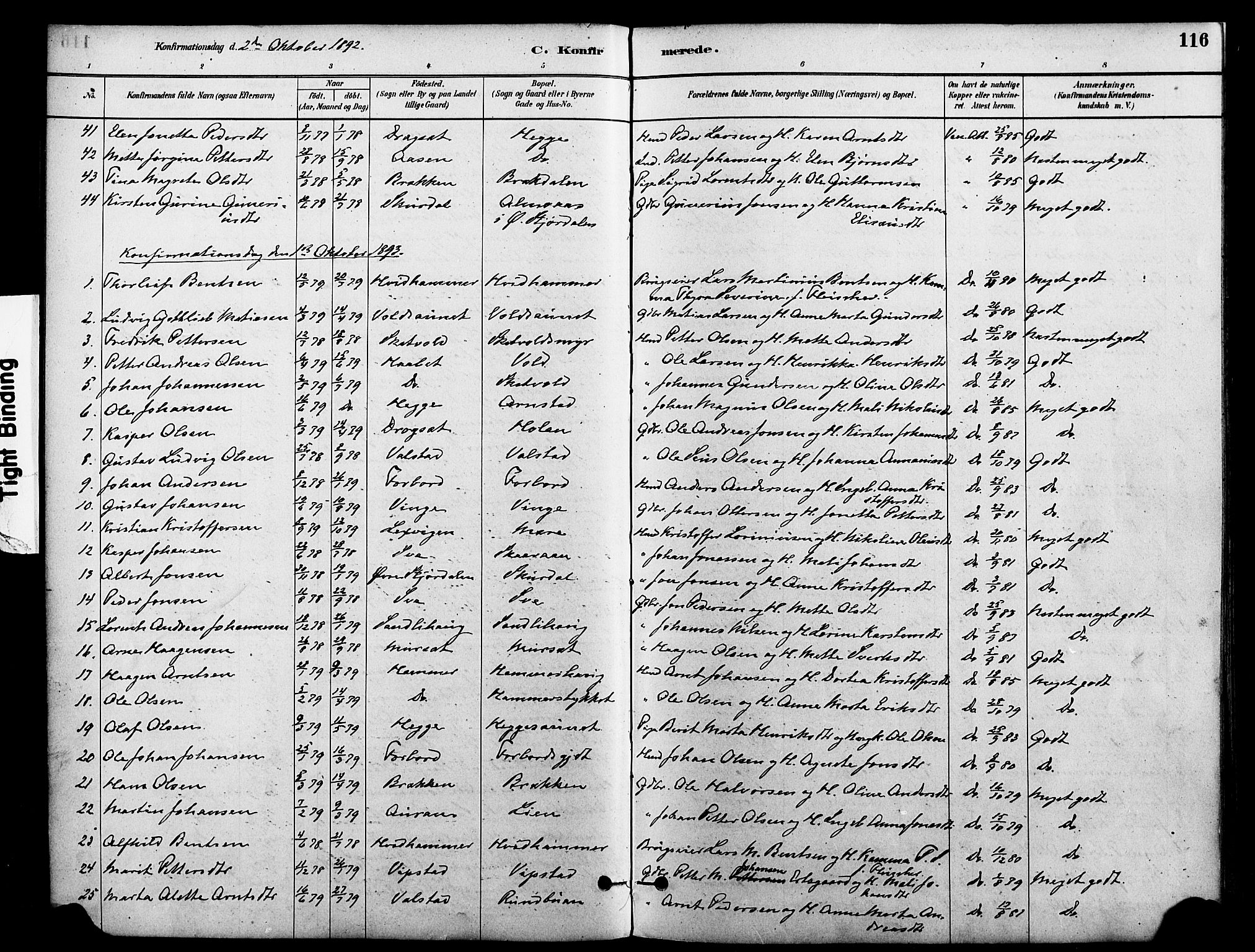 Ministerialprotokoller, klokkerbøker og fødselsregistre - Nord-Trøndelag, SAT/A-1458/712/L0100: Parish register (official) no. 712A01, 1880-1900, p. 116