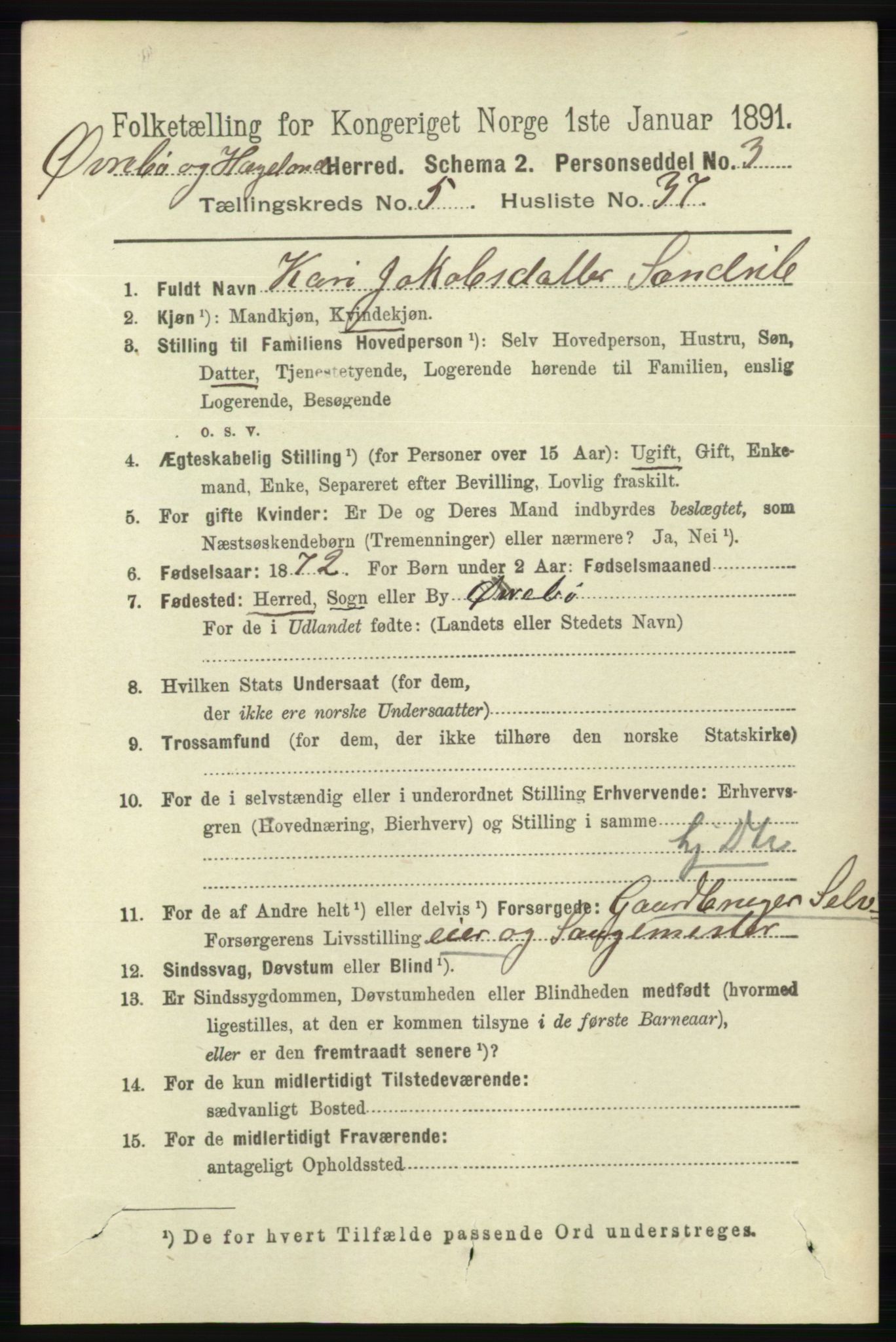 RA, 1891 census for 1016 Øvrebø og Hægeland, 1891, p. 1139