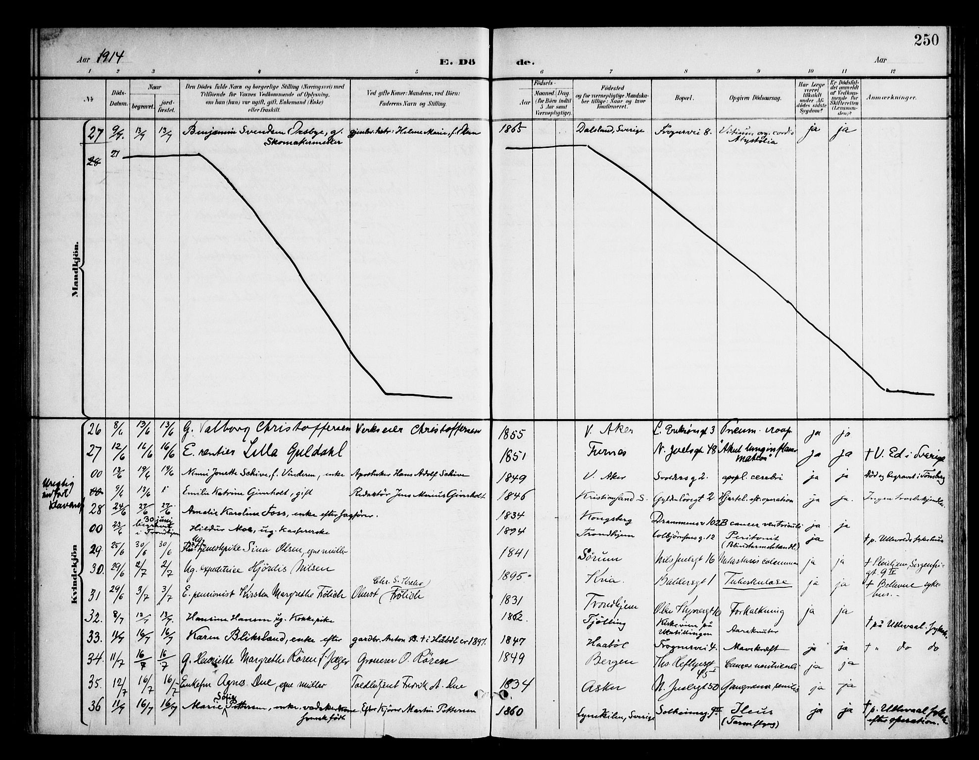 Frogner prestekontor Kirkebøker, AV/SAO-A-10886/F/Fa/L0004: Parish register (official) no. 4, 1898-1921, p. 250