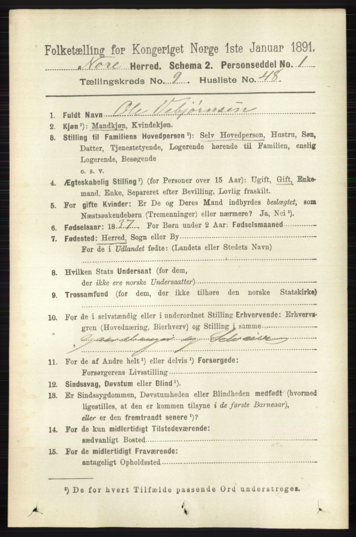 RA, 1891 census for 0633 Nore, 1891, p. 3489