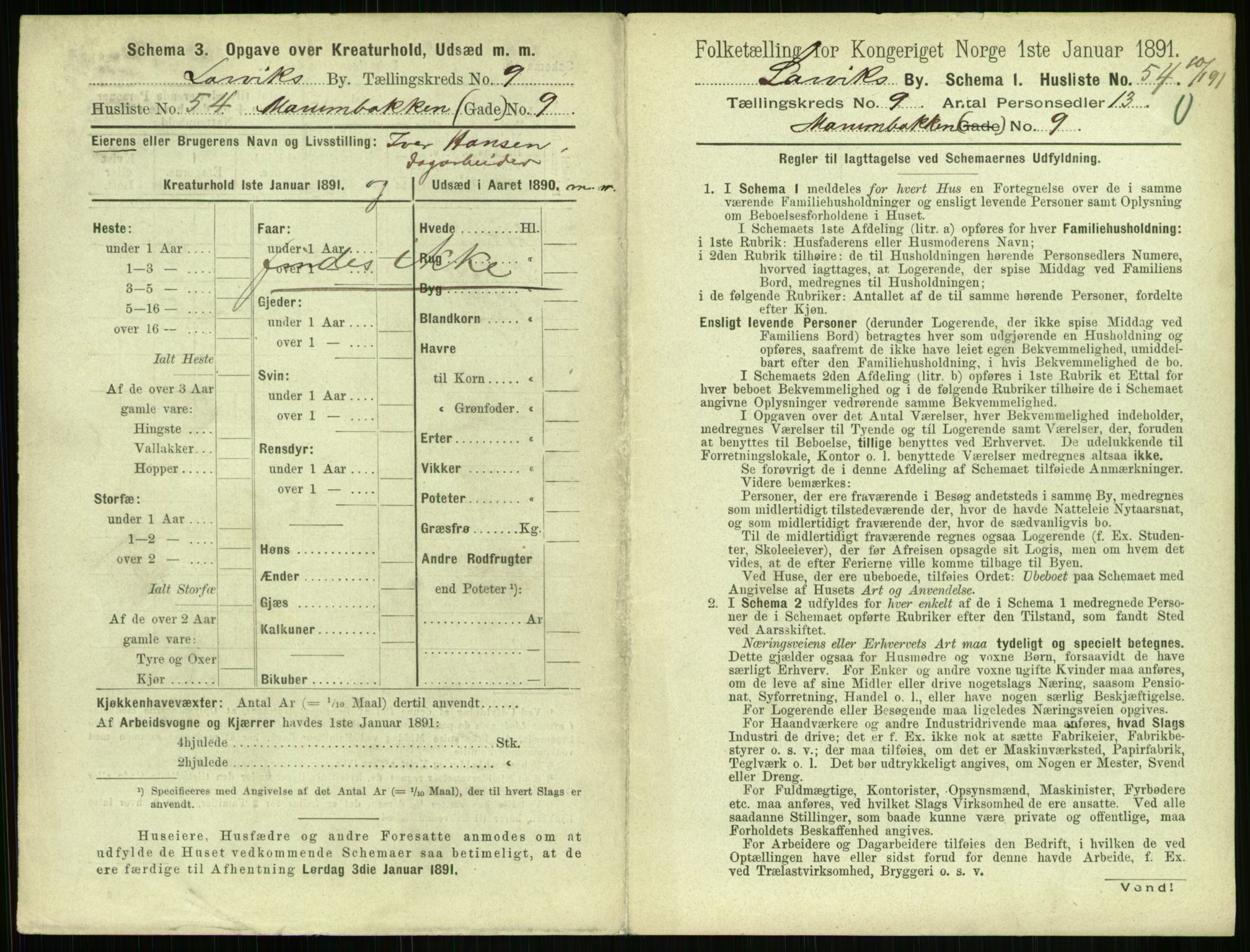 RA, 1891 census for 0707 Larvik, 1891, p. 1227