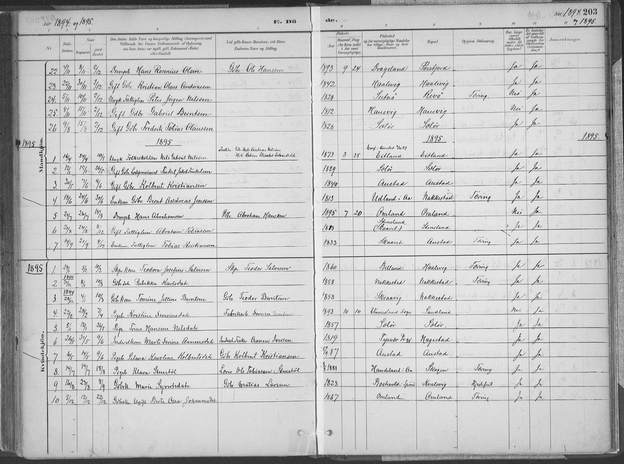 Lyngdal sokneprestkontor, AV/SAK-1111-0029/F/Fa/Faa/L0004: Parish register (official) no. A 4, 1883-1904, p. 203