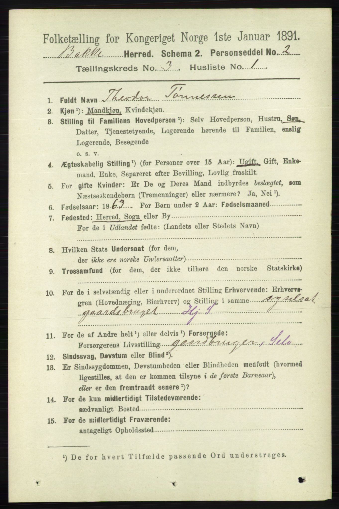 RA, 1891 census for 1045 Bakke, 1891, p. 413