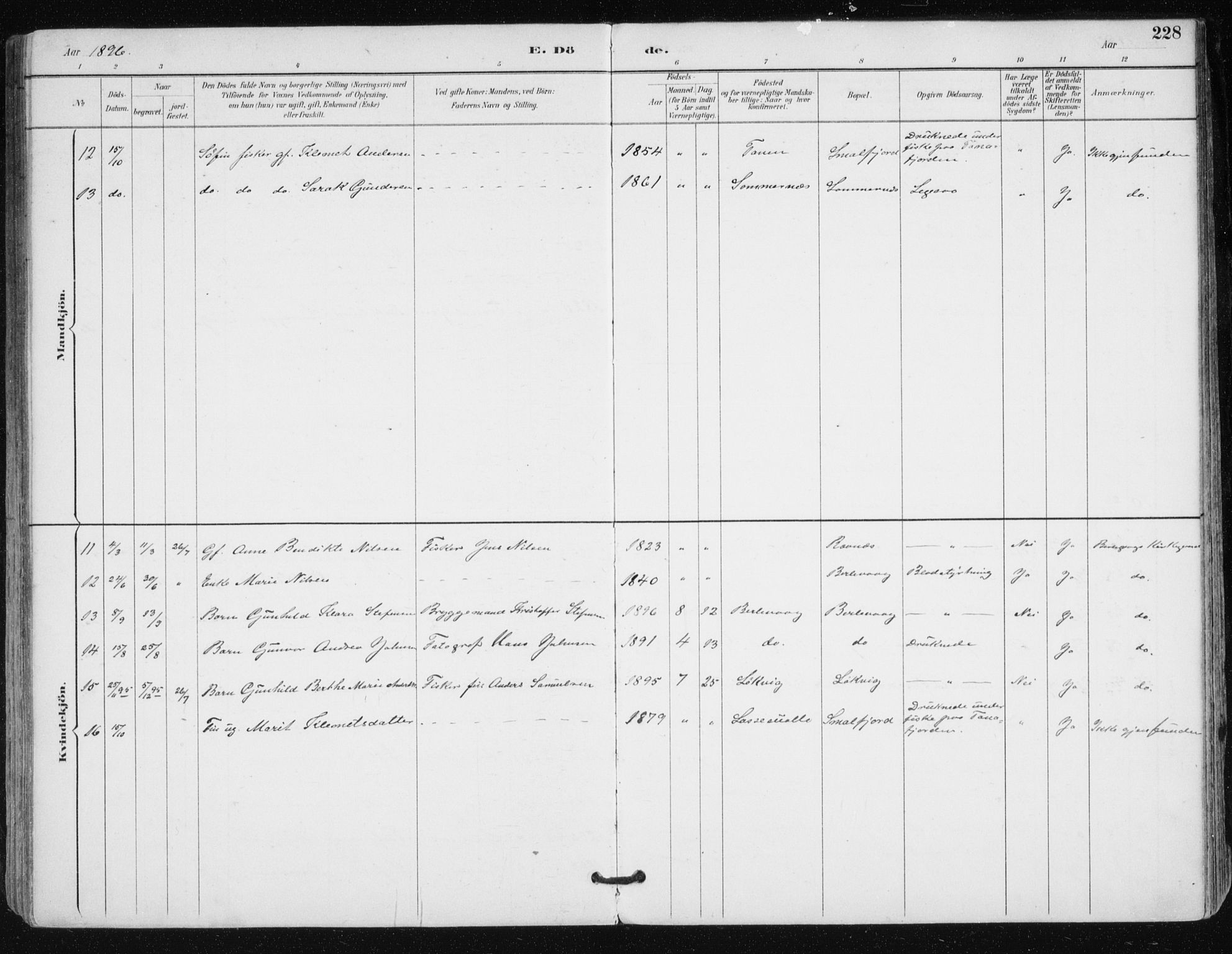 Tana sokneprestkontor, AV/SATØ-S-1334/H/Ha/L0005kirke: Parish register (official) no. 5, 1891-1903, p. 228