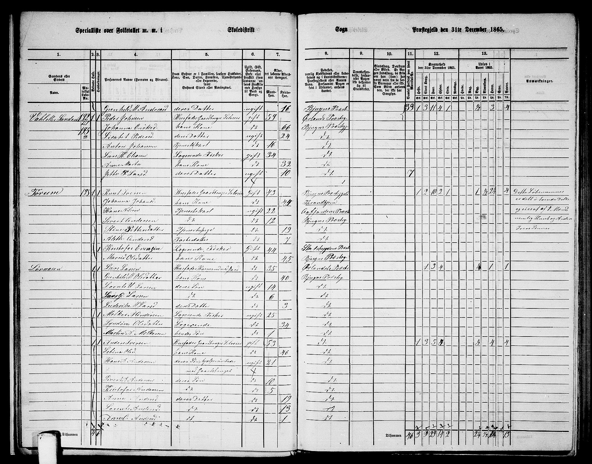 RA, 1865 census for Bjugn, 1865, p. 19