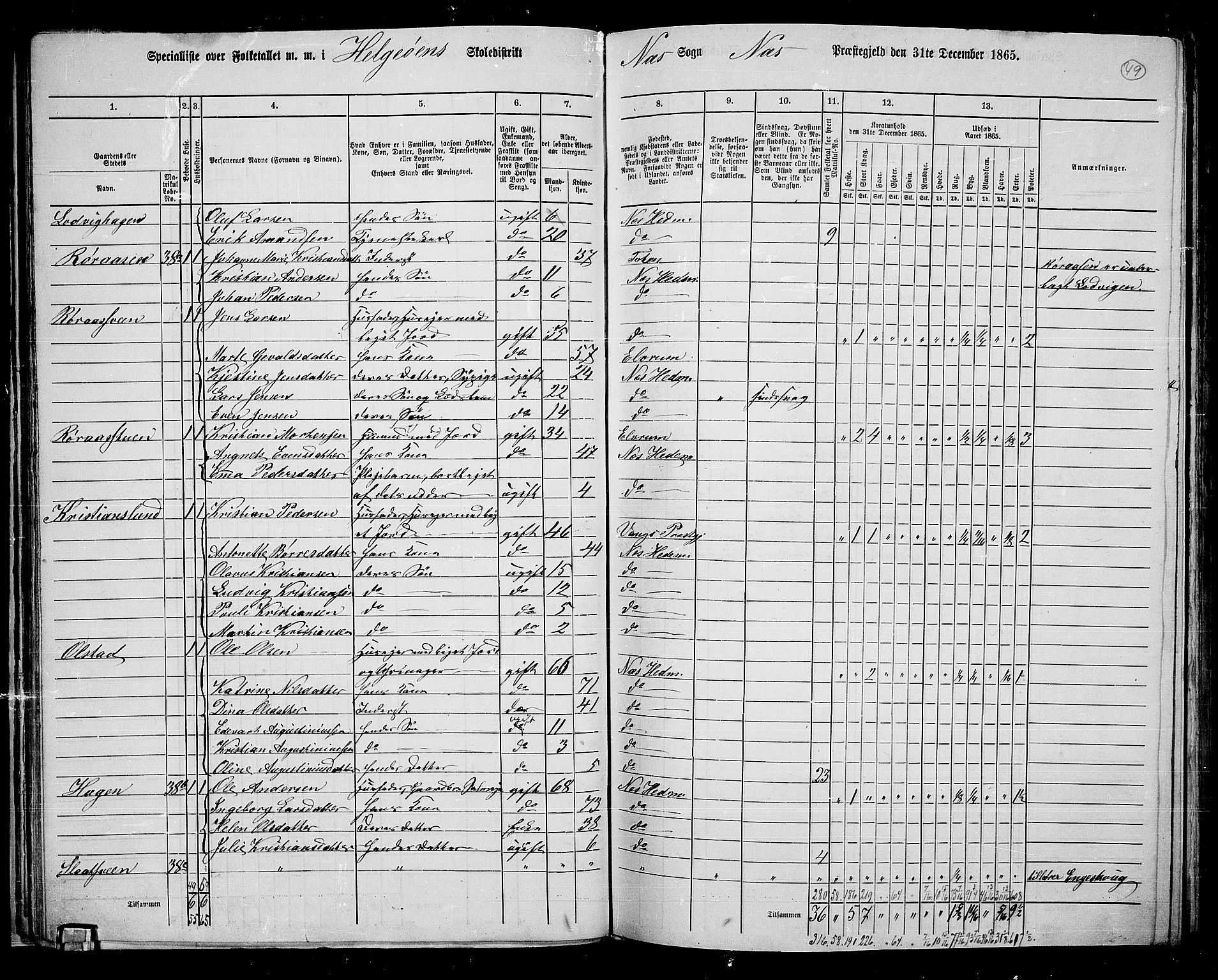 RA, 1865 census for Nes, 1865, p. 42