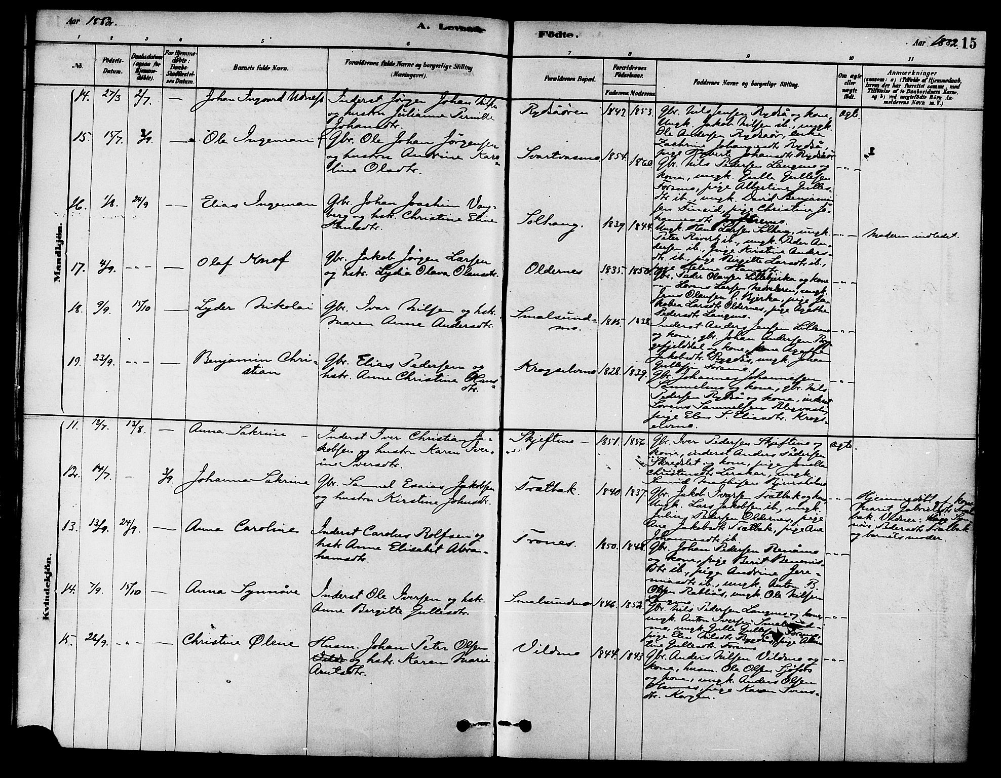 Ministerialprotokoller, klokkerbøker og fødselsregistre - Nordland, AV/SAT-A-1459/826/L0379: Parish register (official) no. 826A02, 1878-1895, p. 15