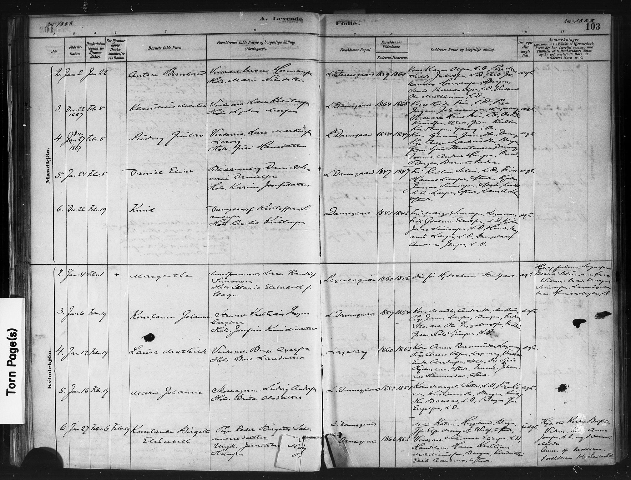 Askøy Sokneprestembete, AV/SAB-A-74101/H/Ha/Haa/Haae/L0002: Parish register (official) no. E 2, 1878-1891, p. 103