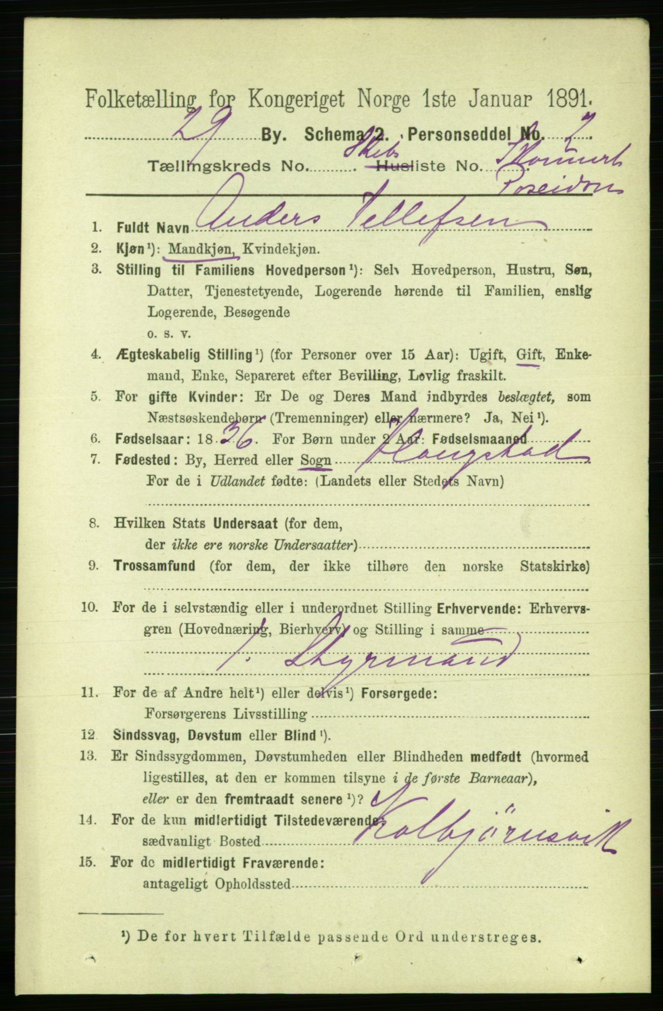 RA, 1891 census for 0805 Porsgrunn, 1891, p. 5451